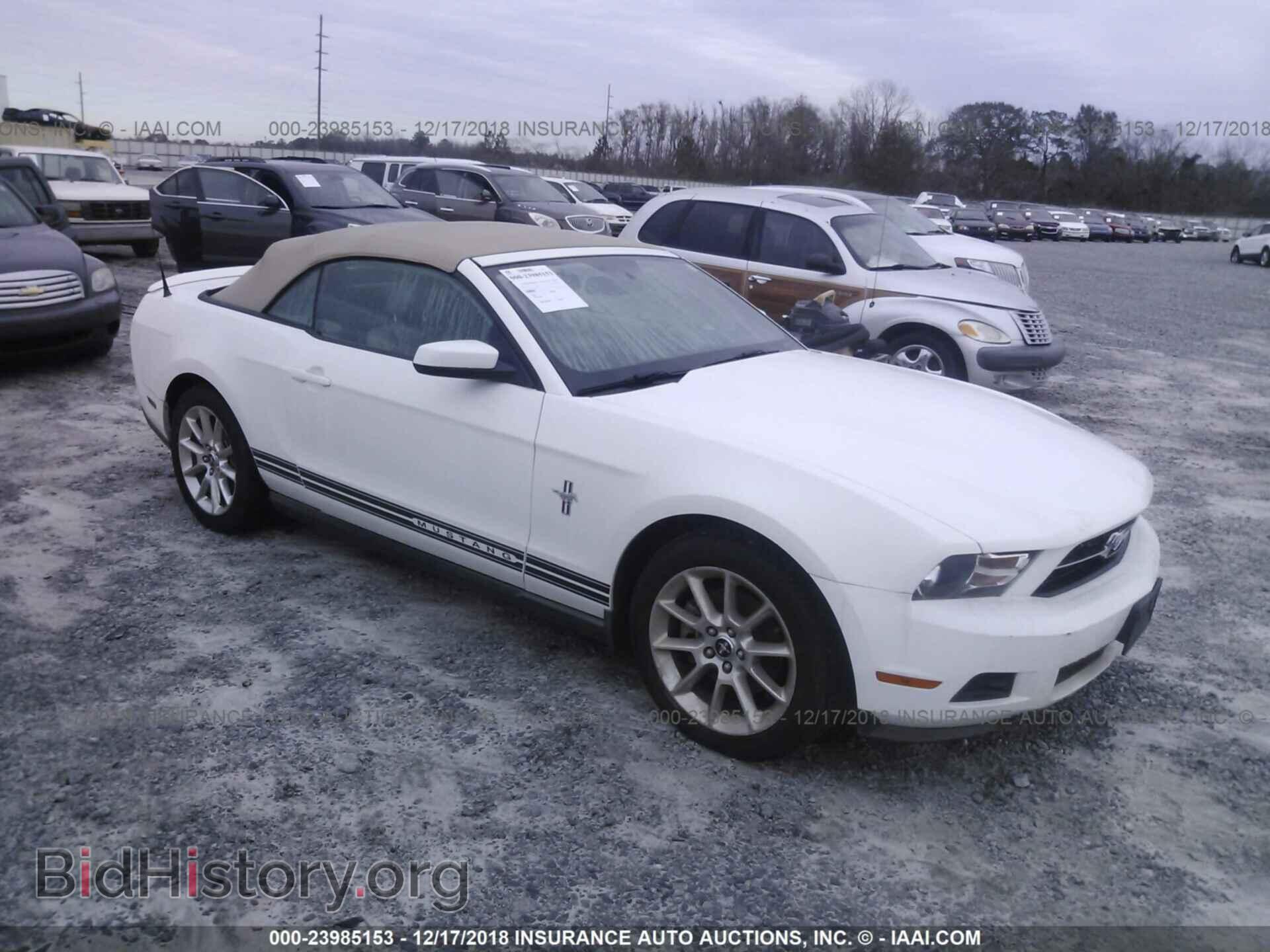 Фотография 1ZVBP8EM0B5146271 - FORD MUSTANG 2011