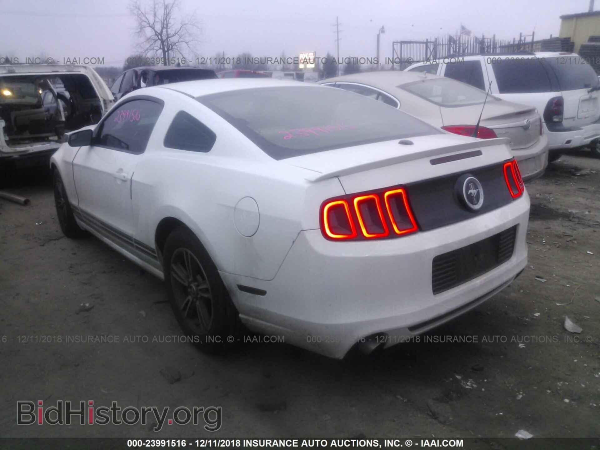 2013 FORD MUSTANG - VIN: 1ZVBP8AM9D5230064 - Фото 3