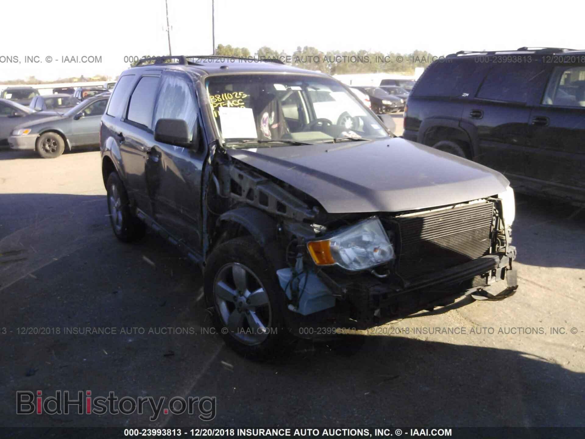 Photo 1FMCU0D73BKB90629 - FORD ESCAPE 2011