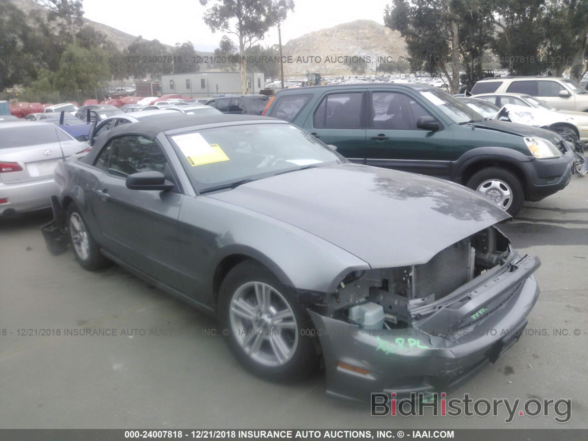 Photo 1ZVBP8EMXE5272223 - FORD MUSTANG 2014