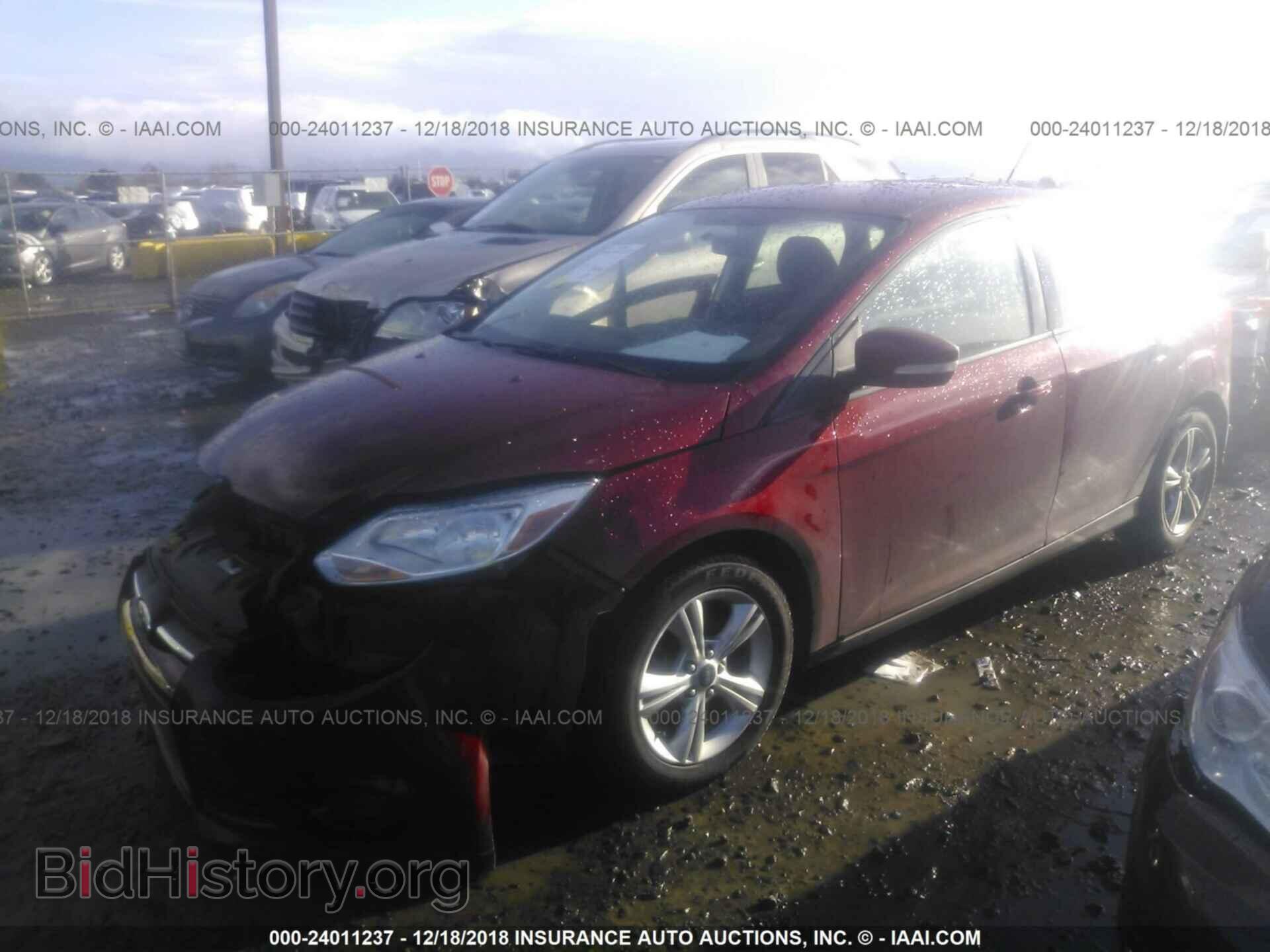 2013 FORD FOCUS - VIN: 1FADP3K24DL245309 - Фото 2