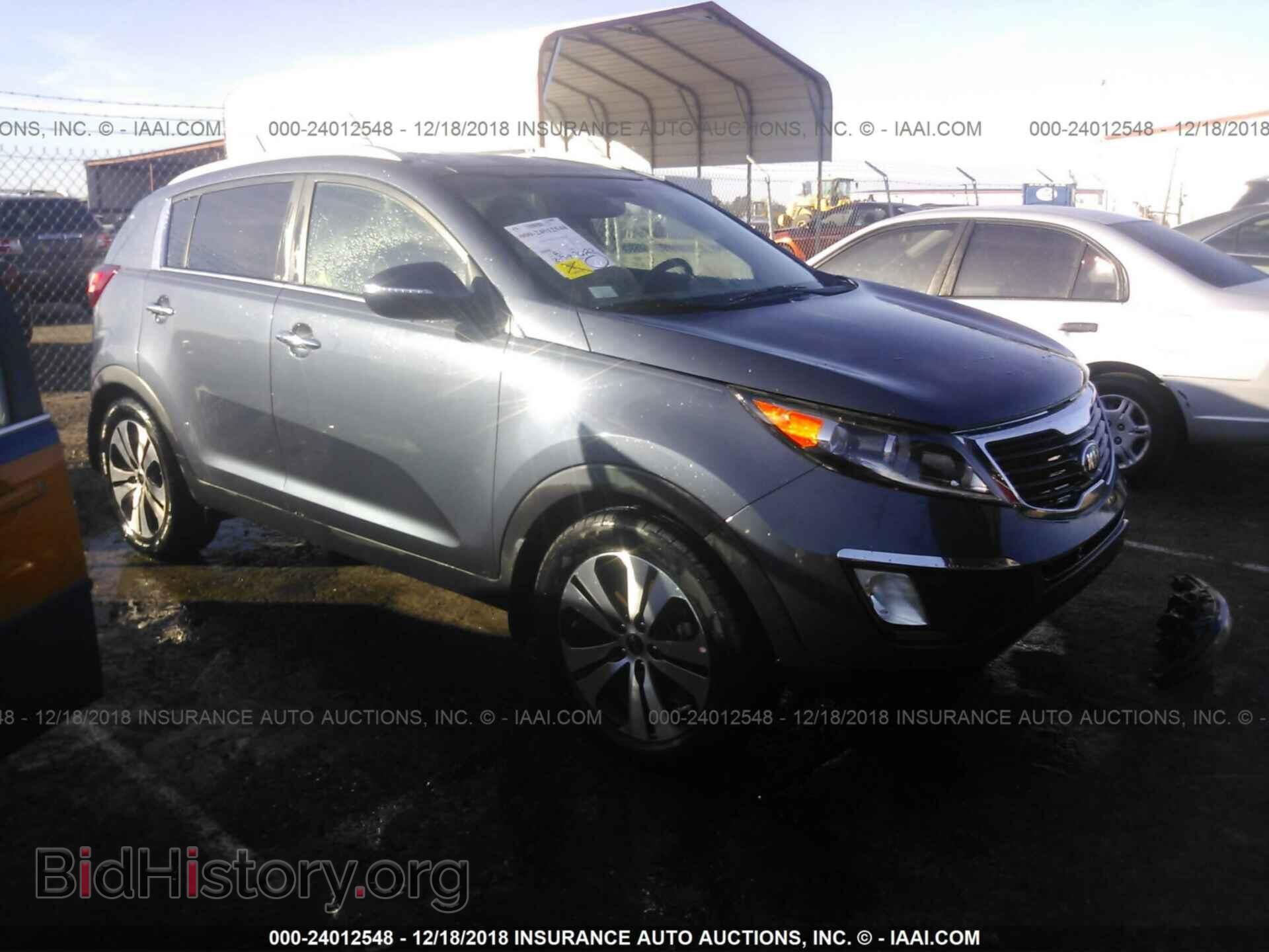 Фотография KNDPC3A20D7515536 - KIA SPORTAGE 2013