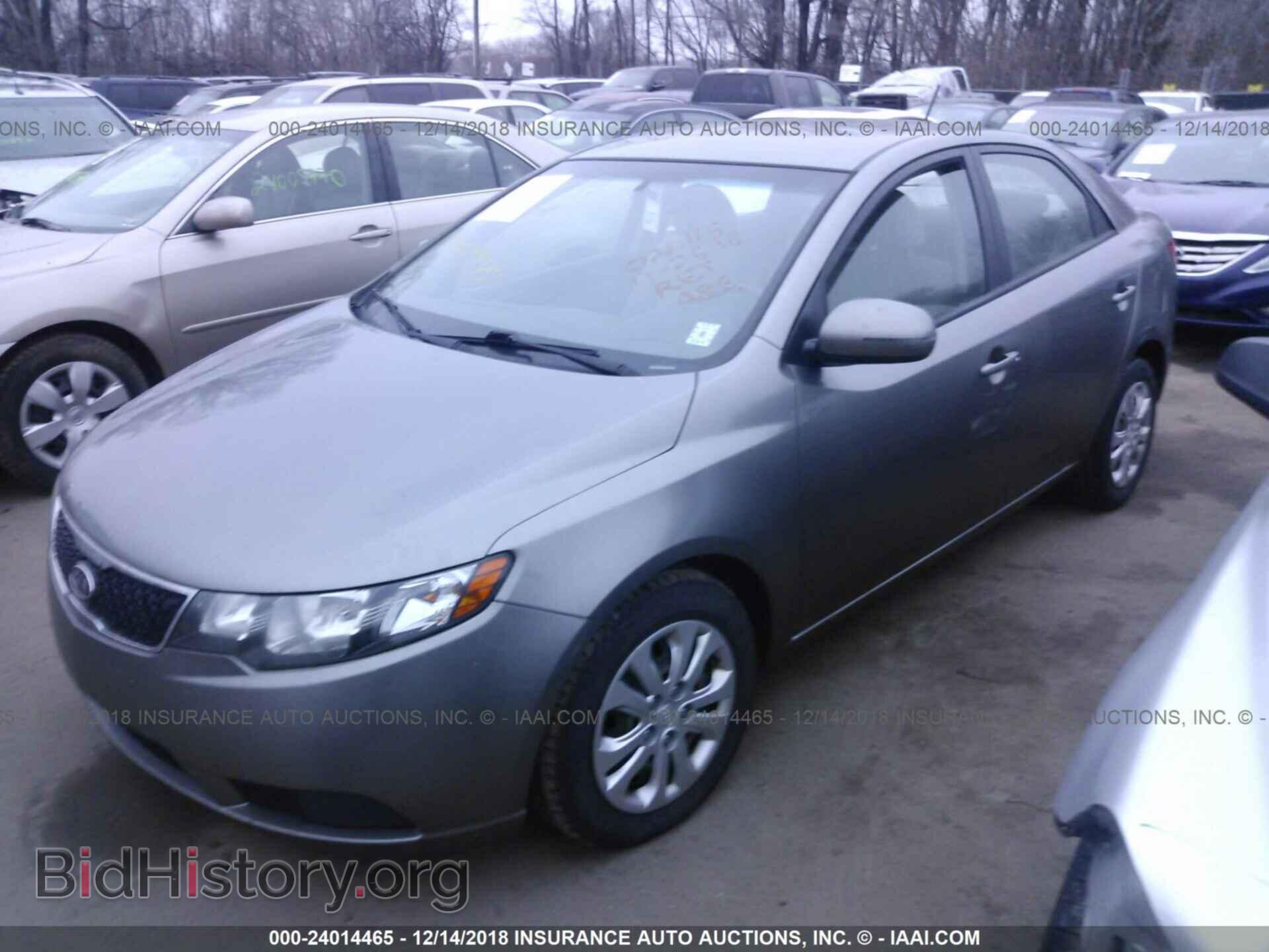 2012 KIA FORTE - VIN: KNAFU4A2XC5577631 - Фото 2