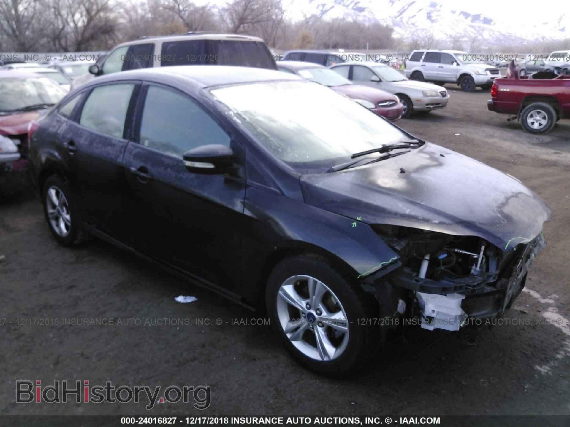 Photo 1FADP3F24DL321105 - FORD FOCUS 2013