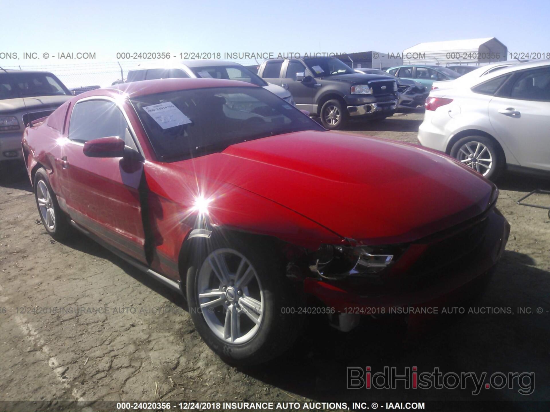 Photo 1ZVBP8AM7C5246763 - FORD MUSTANG 2012