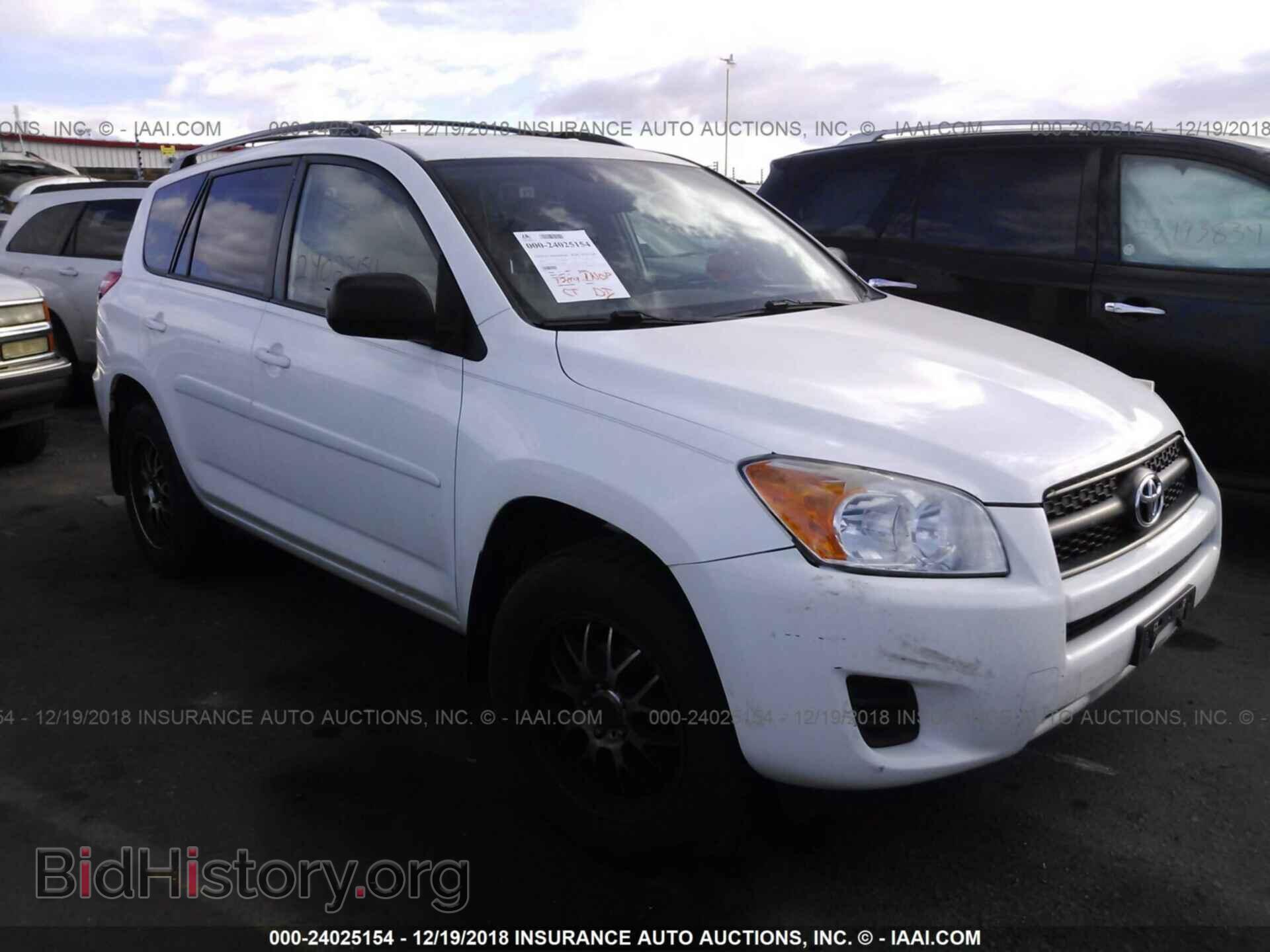 Фотография 2T3BF4DV1CW219490 - TOYOTA RAV4 2012