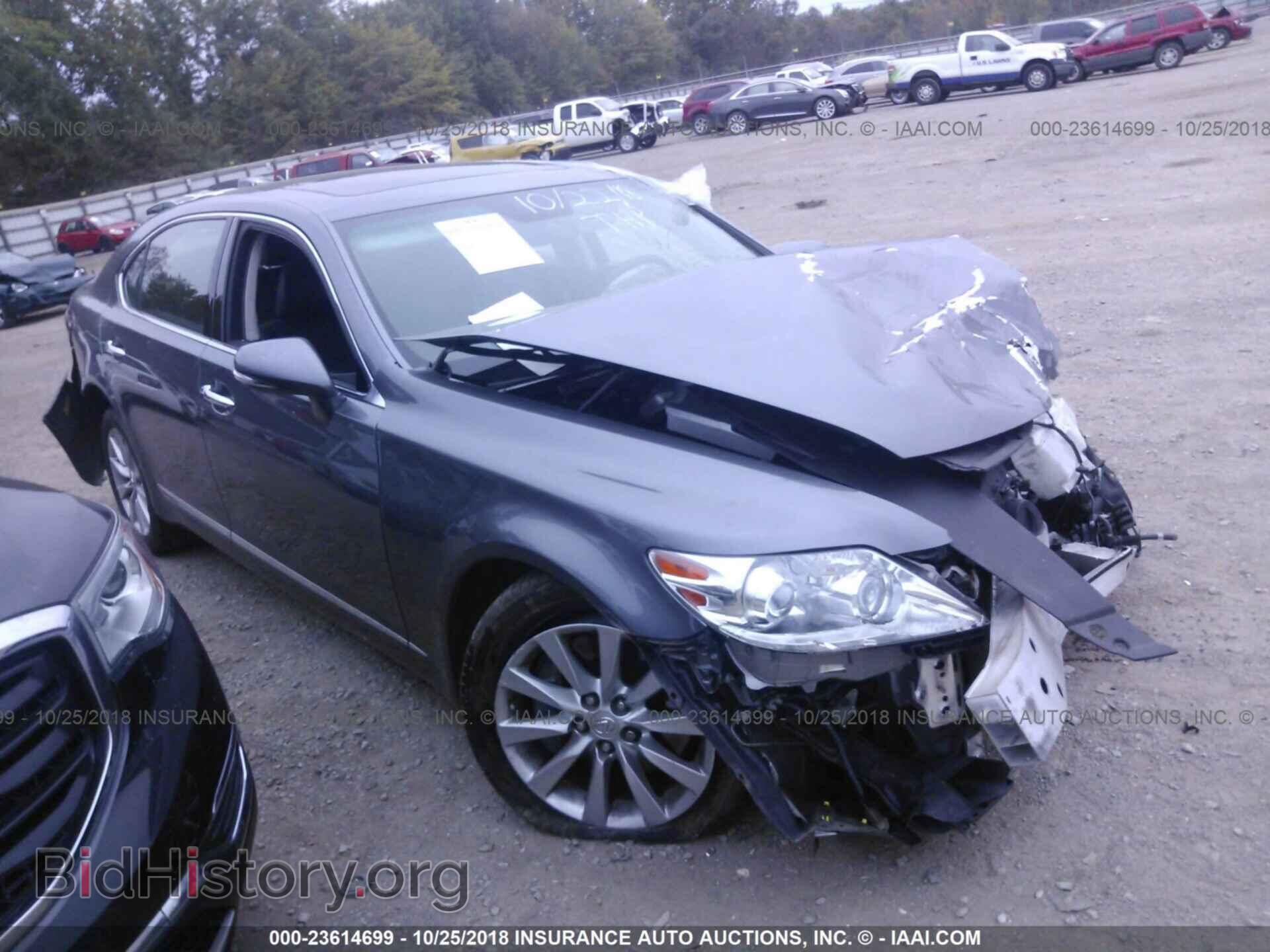 Photo JTHDL5EF4C5004366 - LEXUS LS 2012