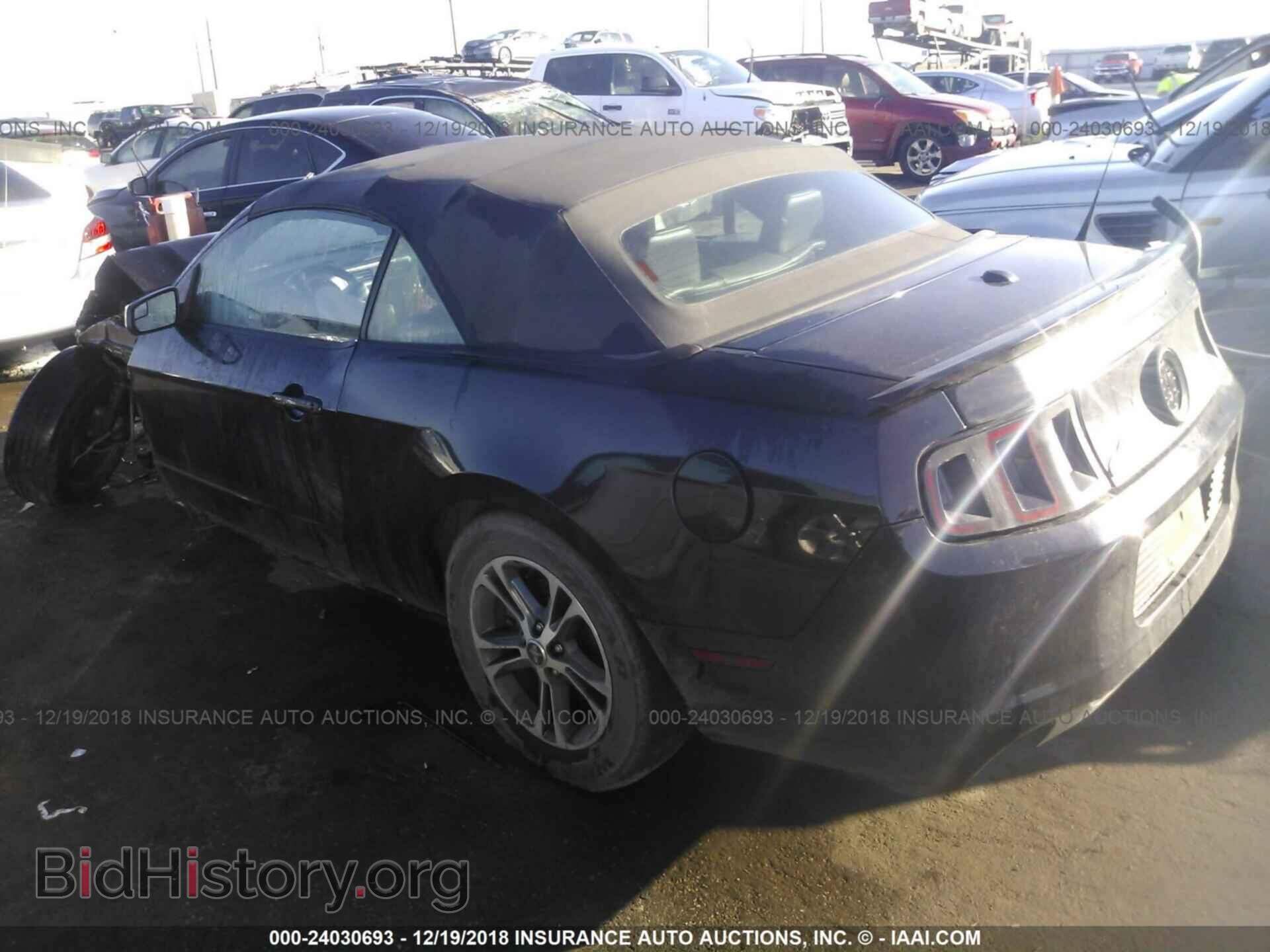 2013 FORD MUSTANG - VIN: 1ZVBP8EM3D5242060 - Фото 3