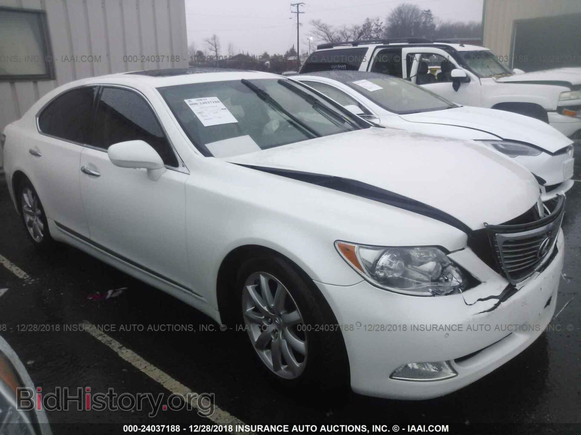 Фотография JTHCL46F095002062 - LEXUS LS 2009