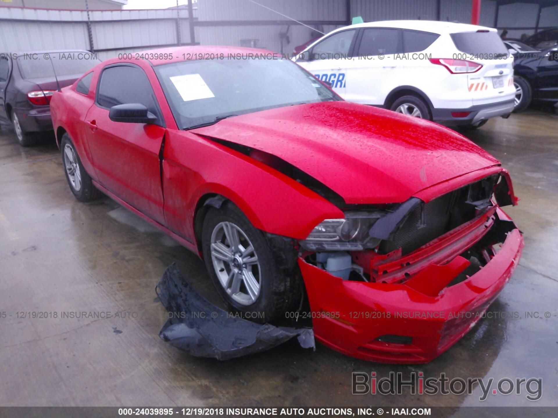 Photo 1ZVBP8AM5E5332351 - FORD MUSTANG 2014