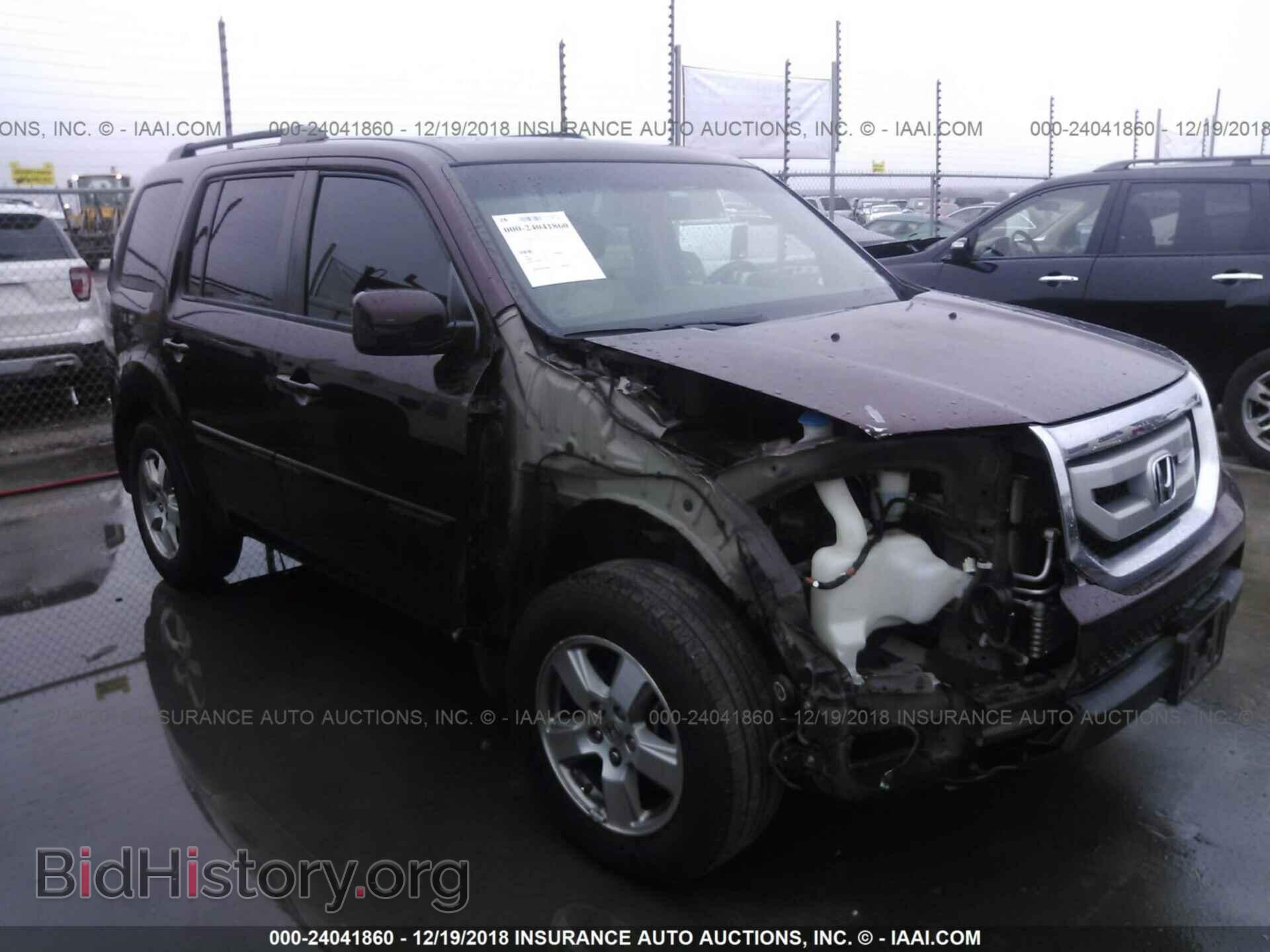 Фотография 5FNYF3H68BB034655 - HONDA PILOT 2011