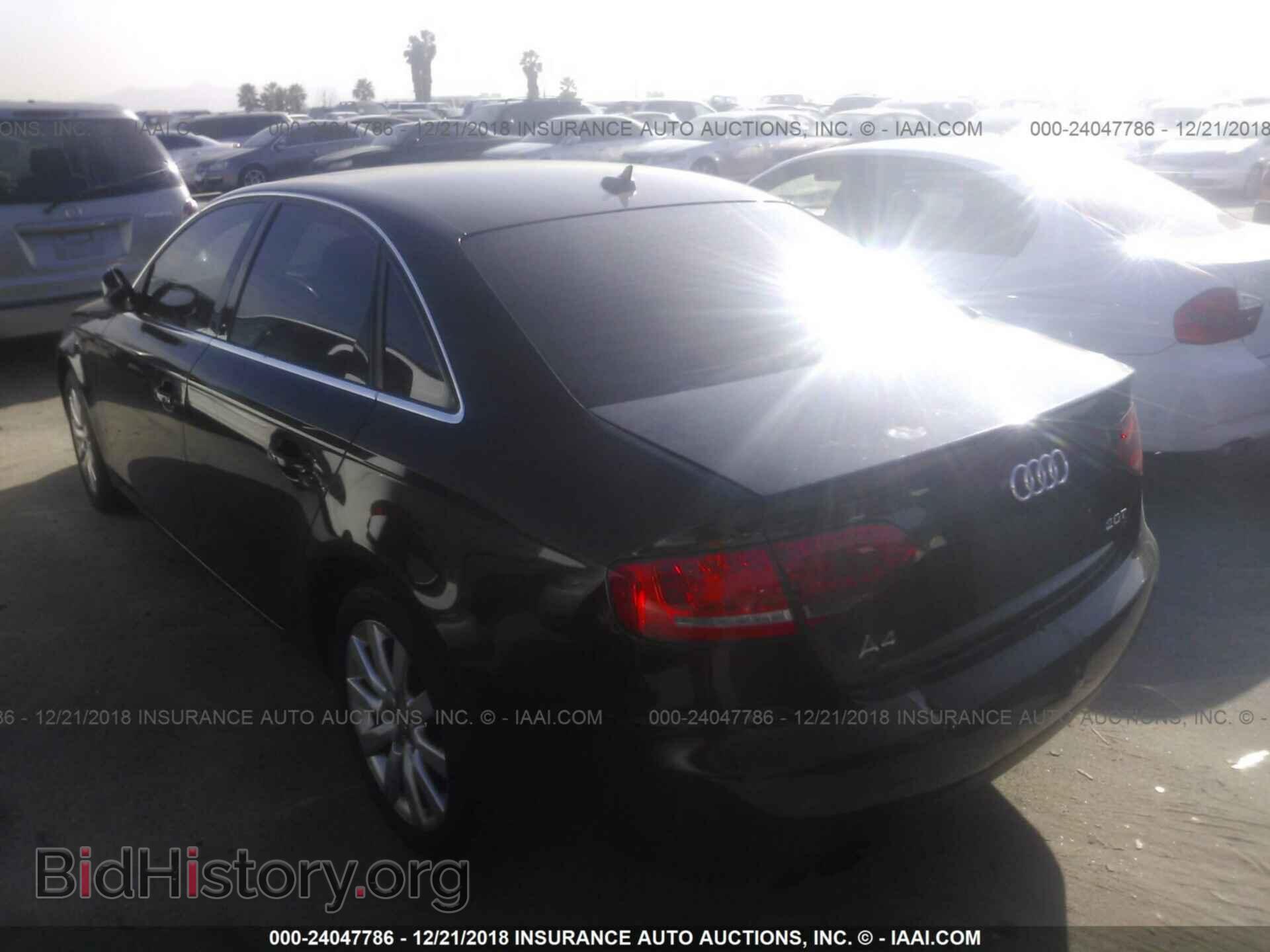 2010 AUDI A4 - VIN: WAUEFAFL8AN050156 - Фото 3