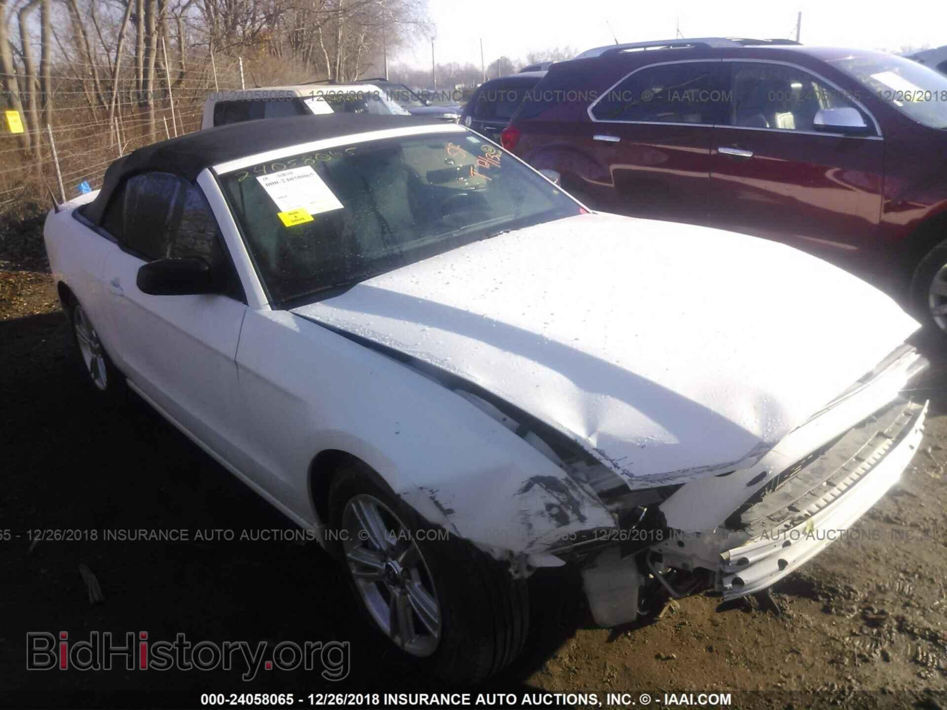 Photo 1ZVBP8EM1D5204018 - FORD MUSTANG 2013