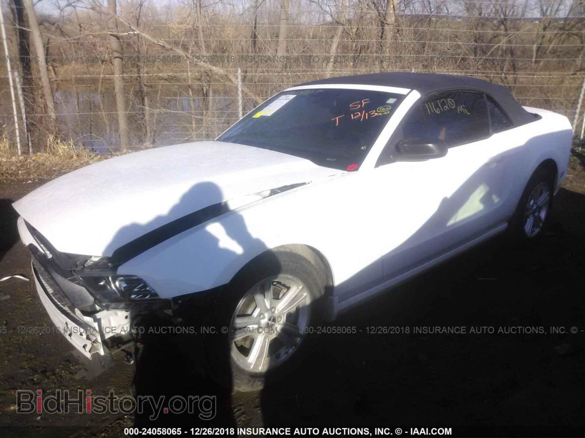 2013 FORD MUSTANG - VIN: 1ZVBP8EM1D5204018 - Фото 2