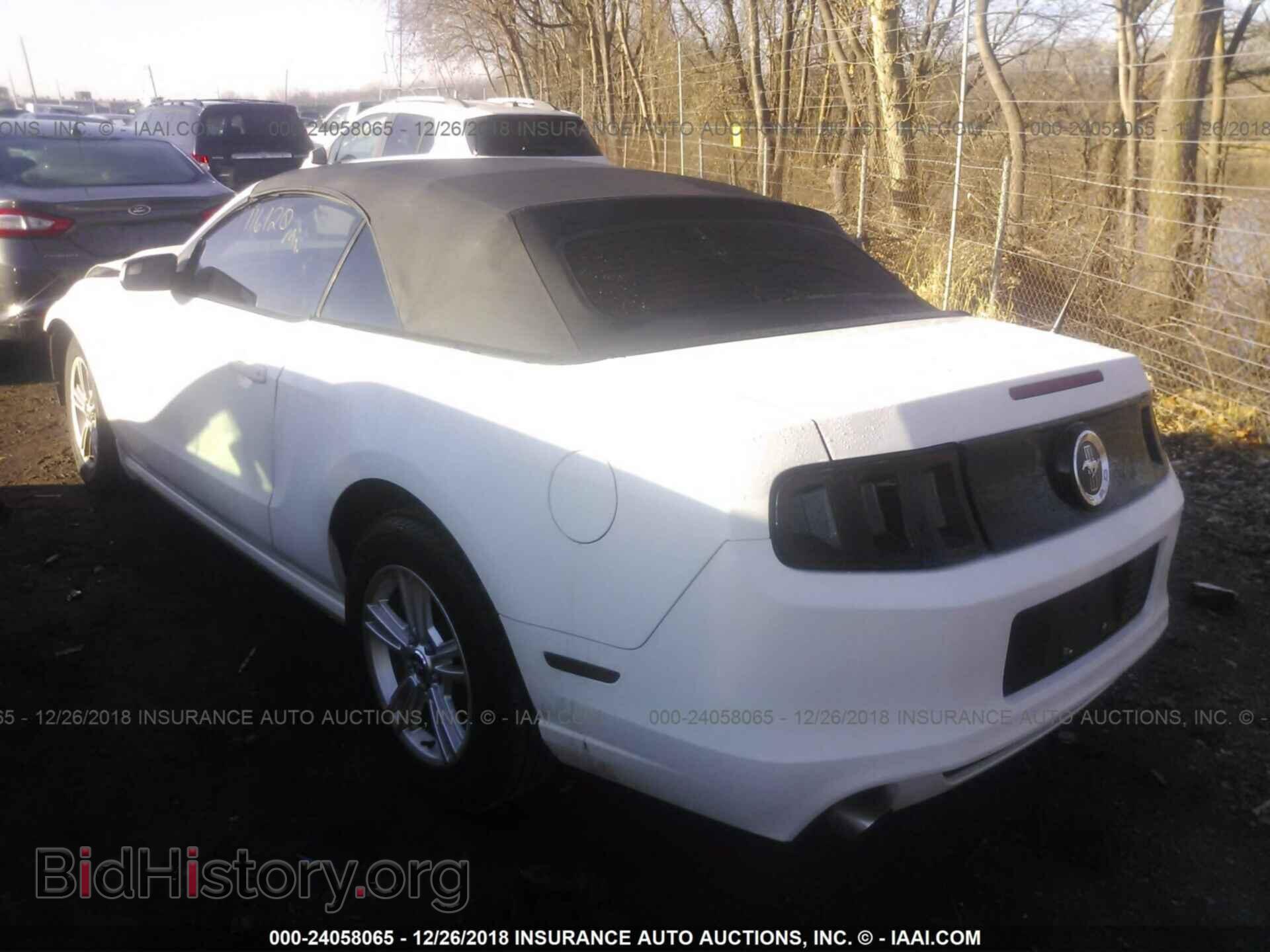 2013 FORD MUSTANG - VIN: 1ZVBP8EM1D5204018 - Фото 3