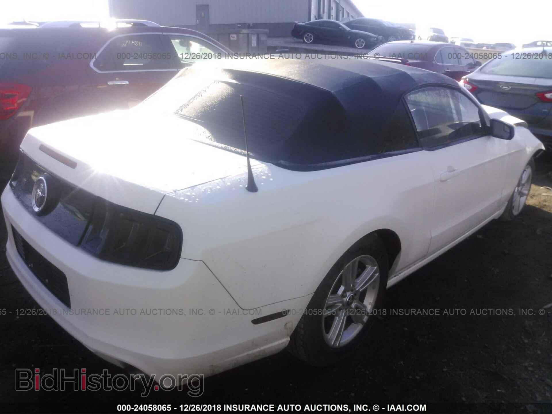 2013 FORD MUSTANG - VIN: 1ZVBP8EM1D5204018 - Фото 4