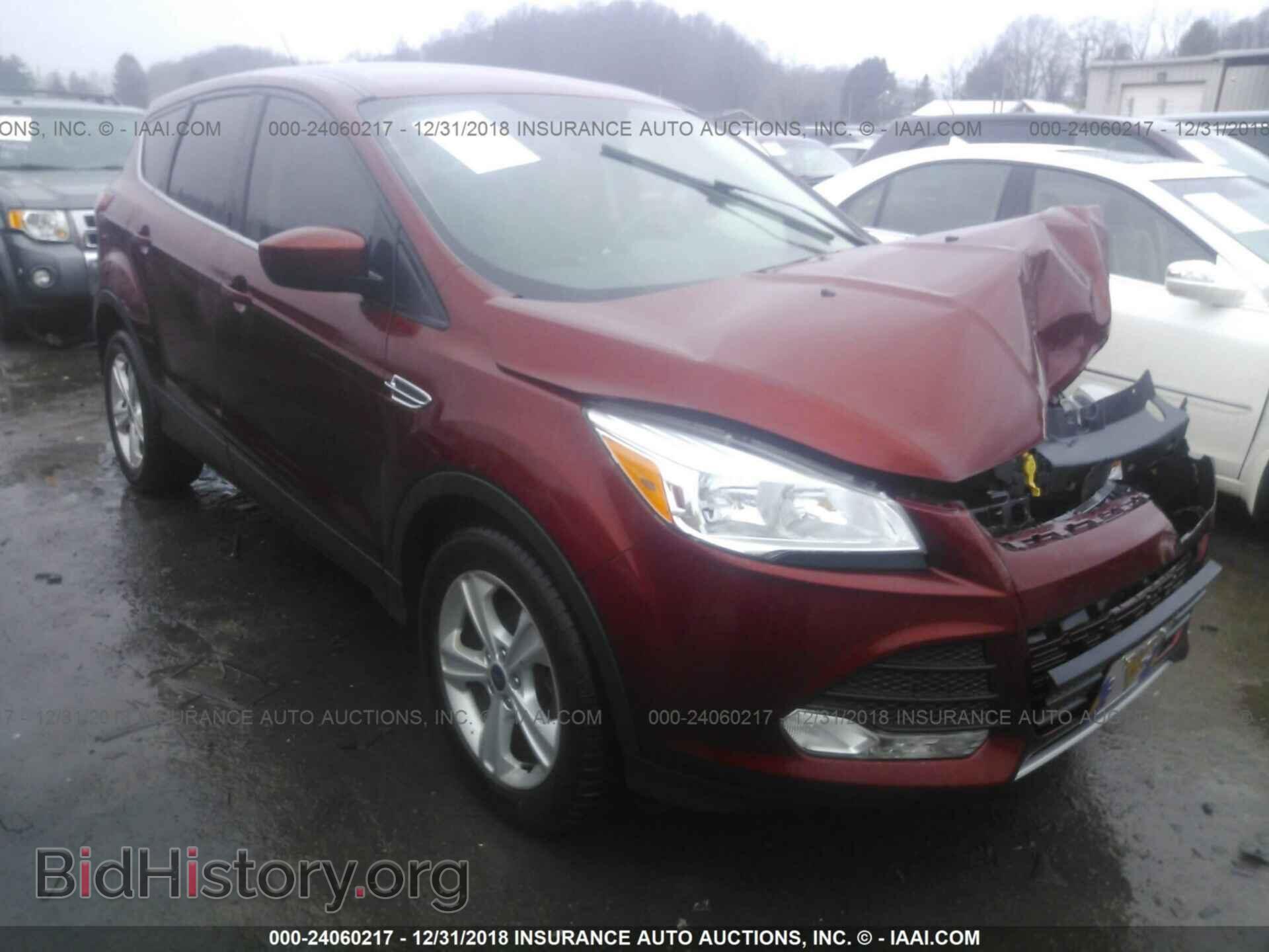 Фотография 1FMCU0GX2EUC35614 - FORD ESCAPE 2014