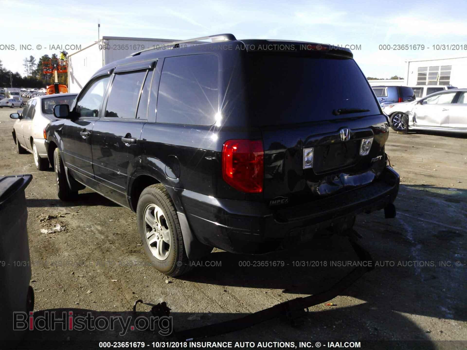 2005 HONDA PILOT - VIN: 5FNYF18565B032757 - Фото 3