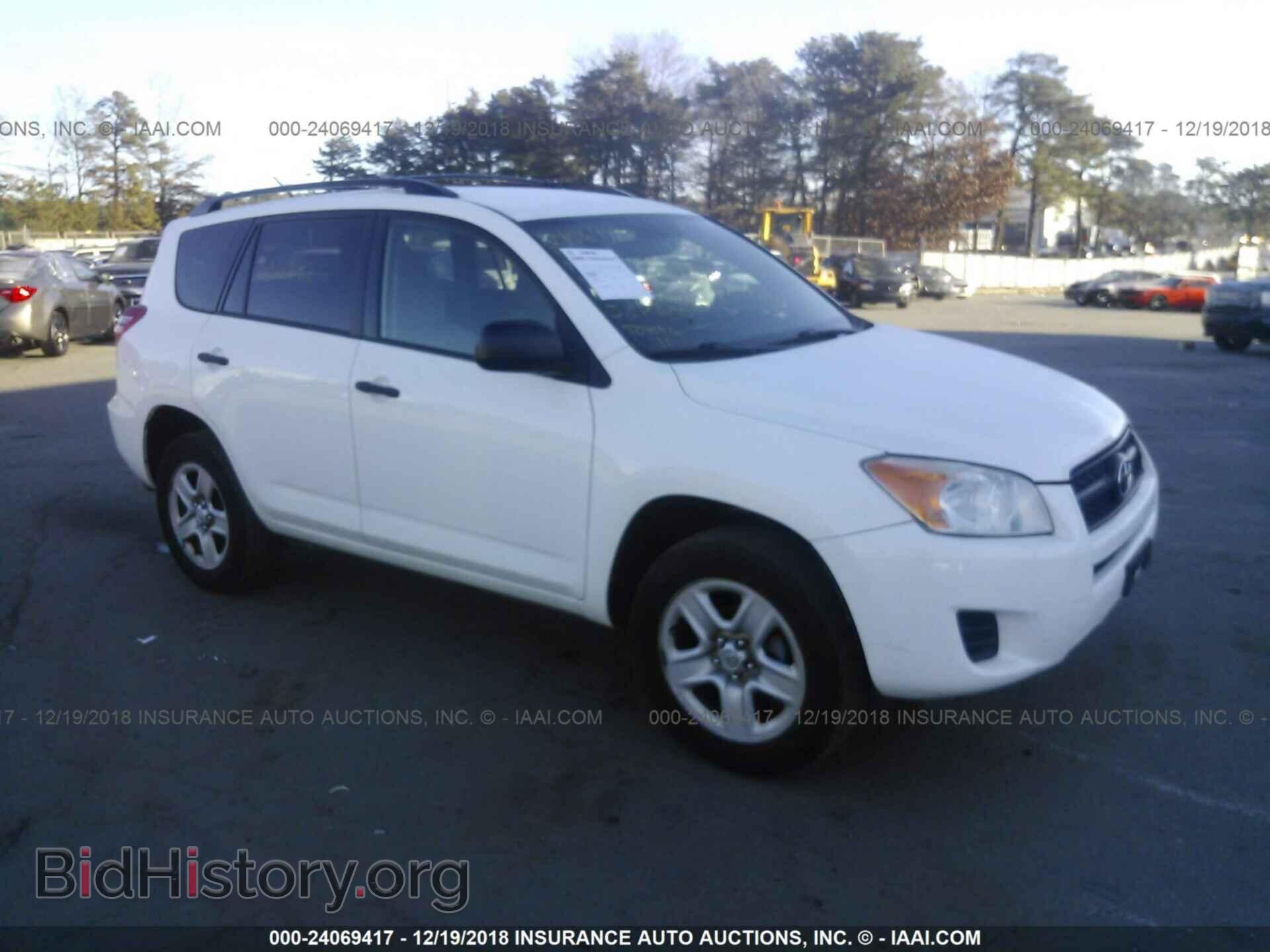 Фотография 2T3BF4DV1BW090987 - Toyota Rav4 2011