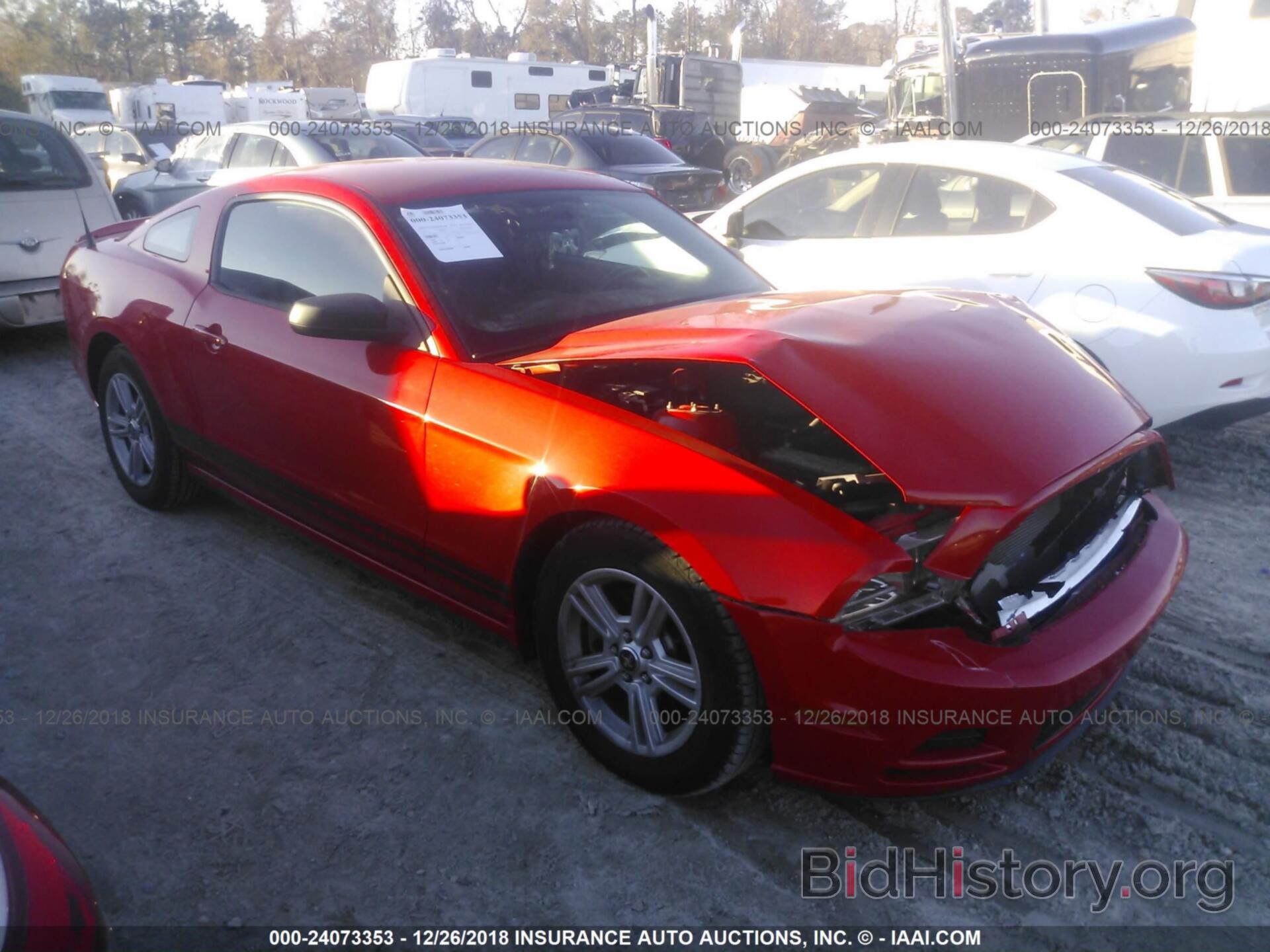 Photo 1ZVBP8AM4D5245488 - FORD MUSTANG 2013
