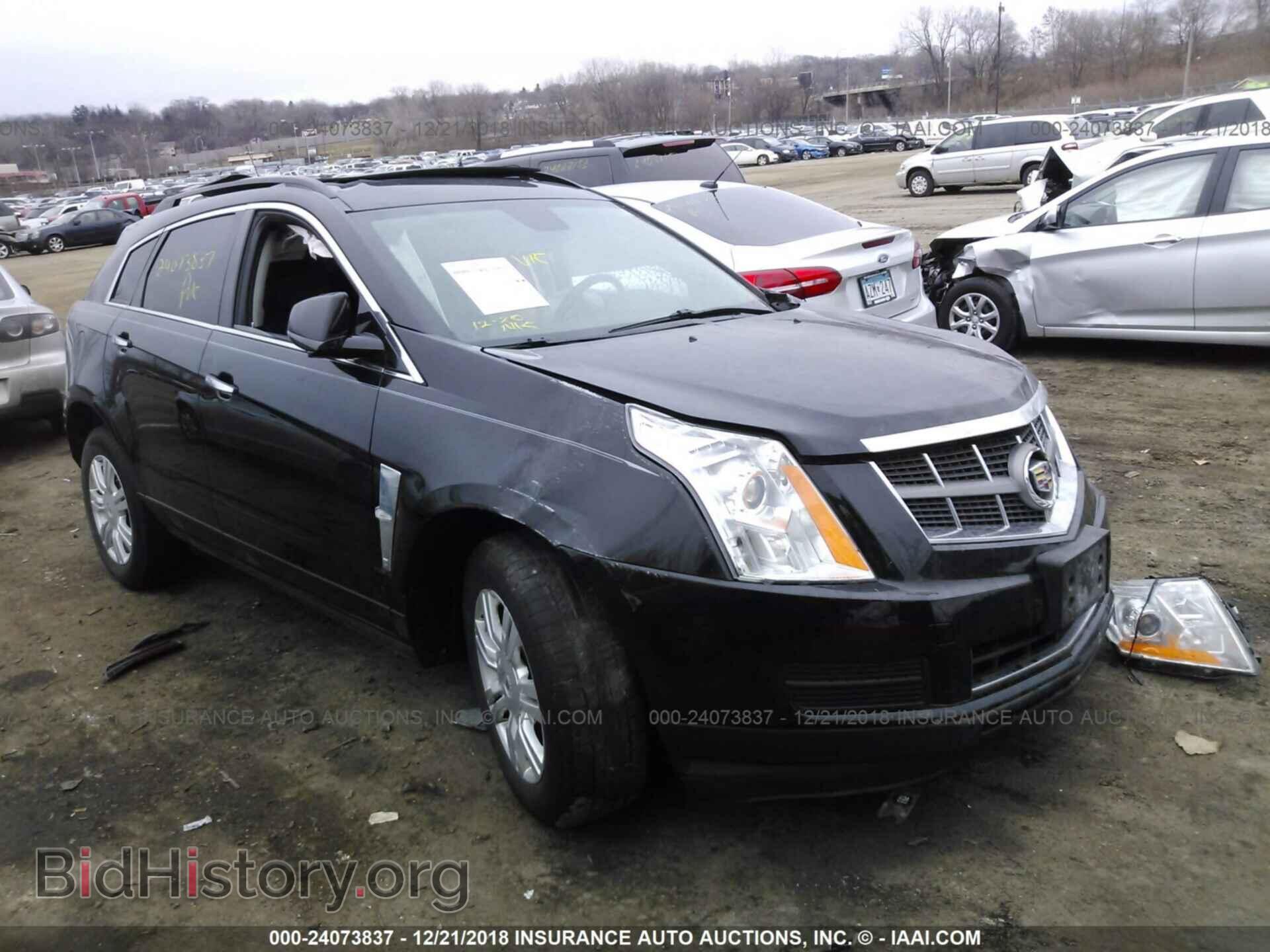 Photo 3GYFNGEY2BS558232 - CADILLAC SRX 2011