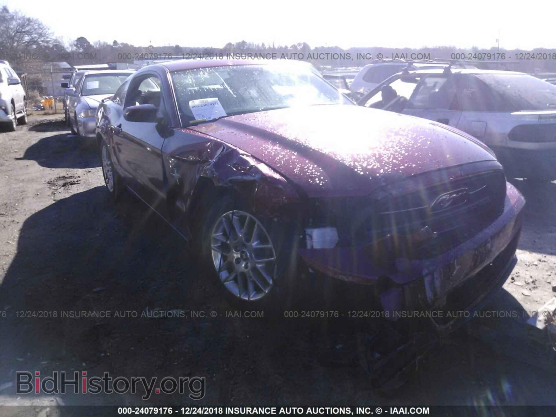 Photo 1ZVBP8AM2E5225712 - FORD MUSTANG 2014