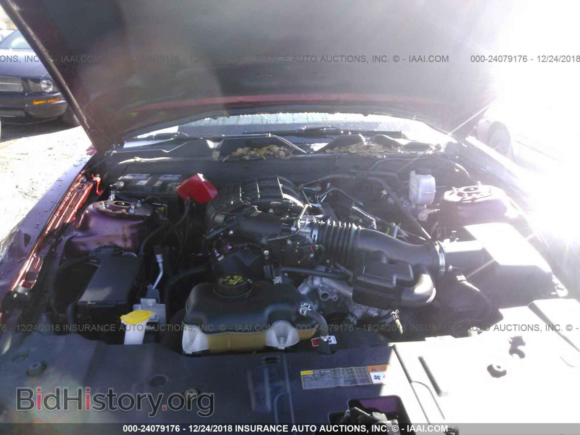 2014 FORD MUSTANG - VIN: 1ZVBP8AM2E5225712 - Photo 10