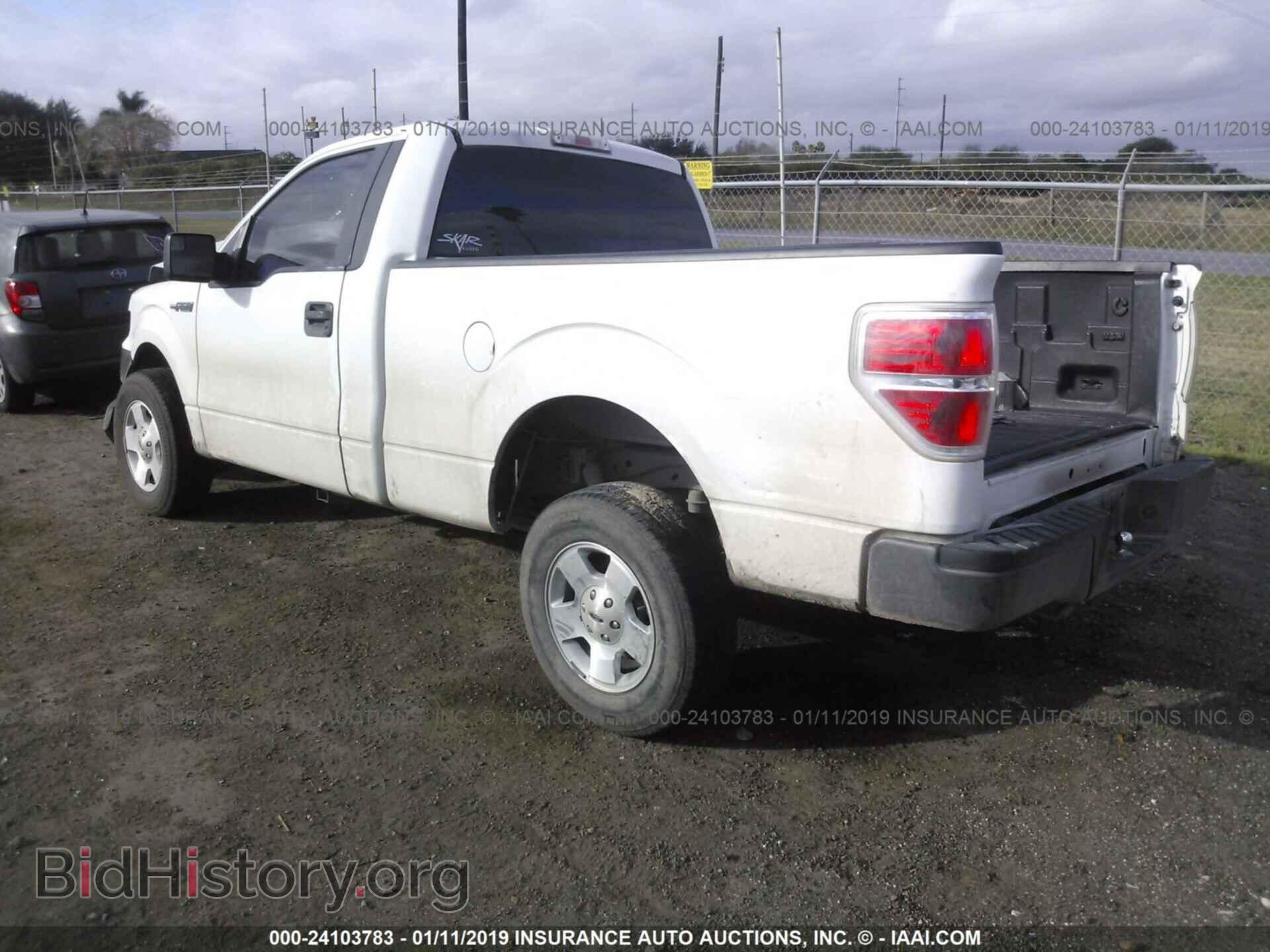 2013 Ford F150 - VIN: 1FTMF1CM6DKD88477 - Фото 3