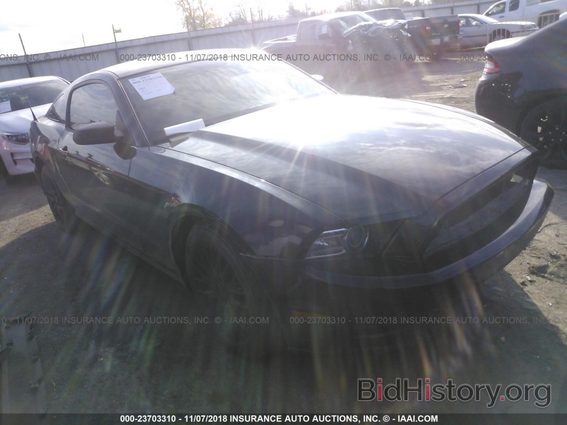 Photo 1ZVBP8AM7E5208680 - FORD MUSTANG 2014