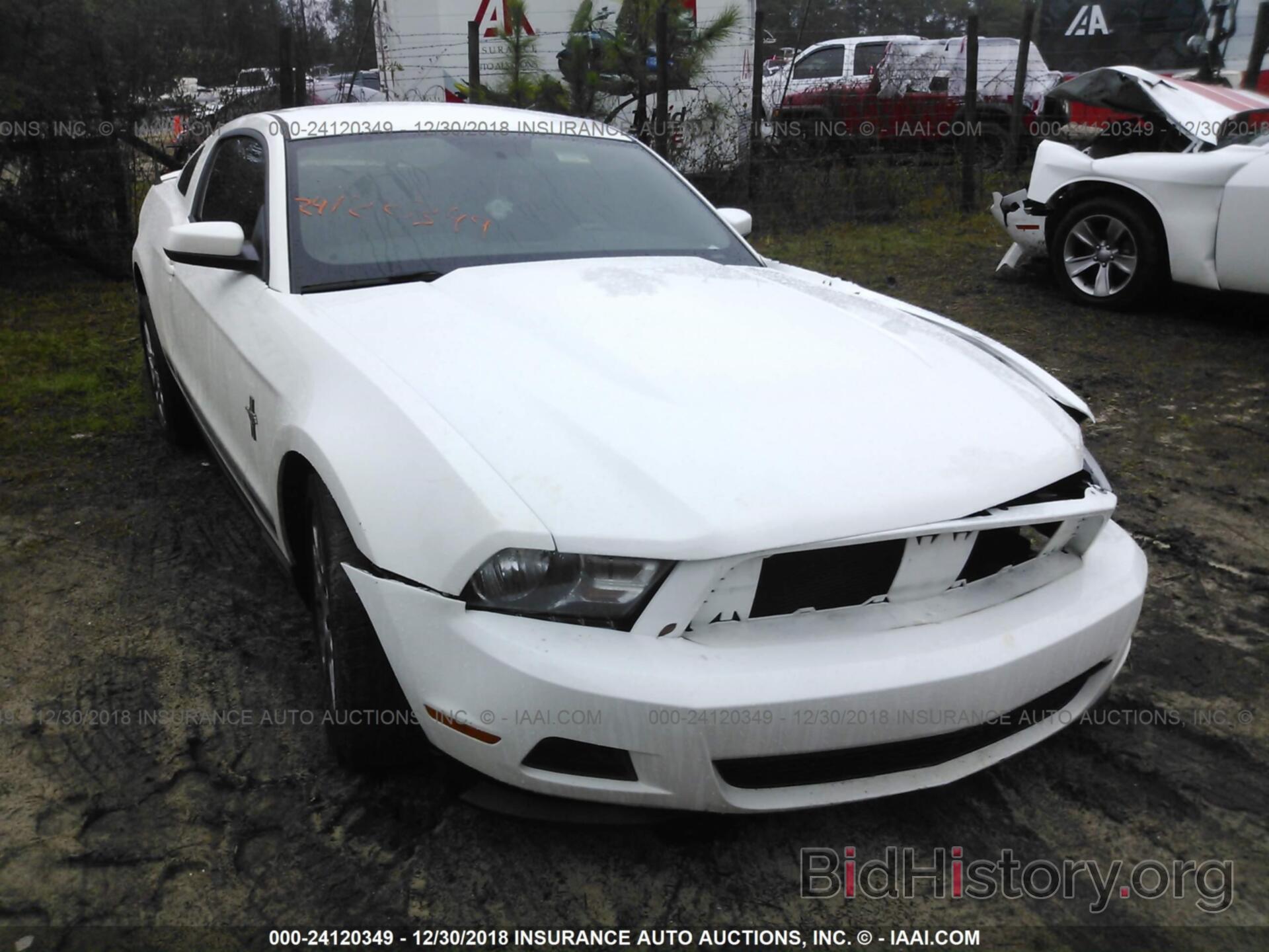 Photo 1ZVBP8AM2C5242359 - FORD MUSTANG 2012