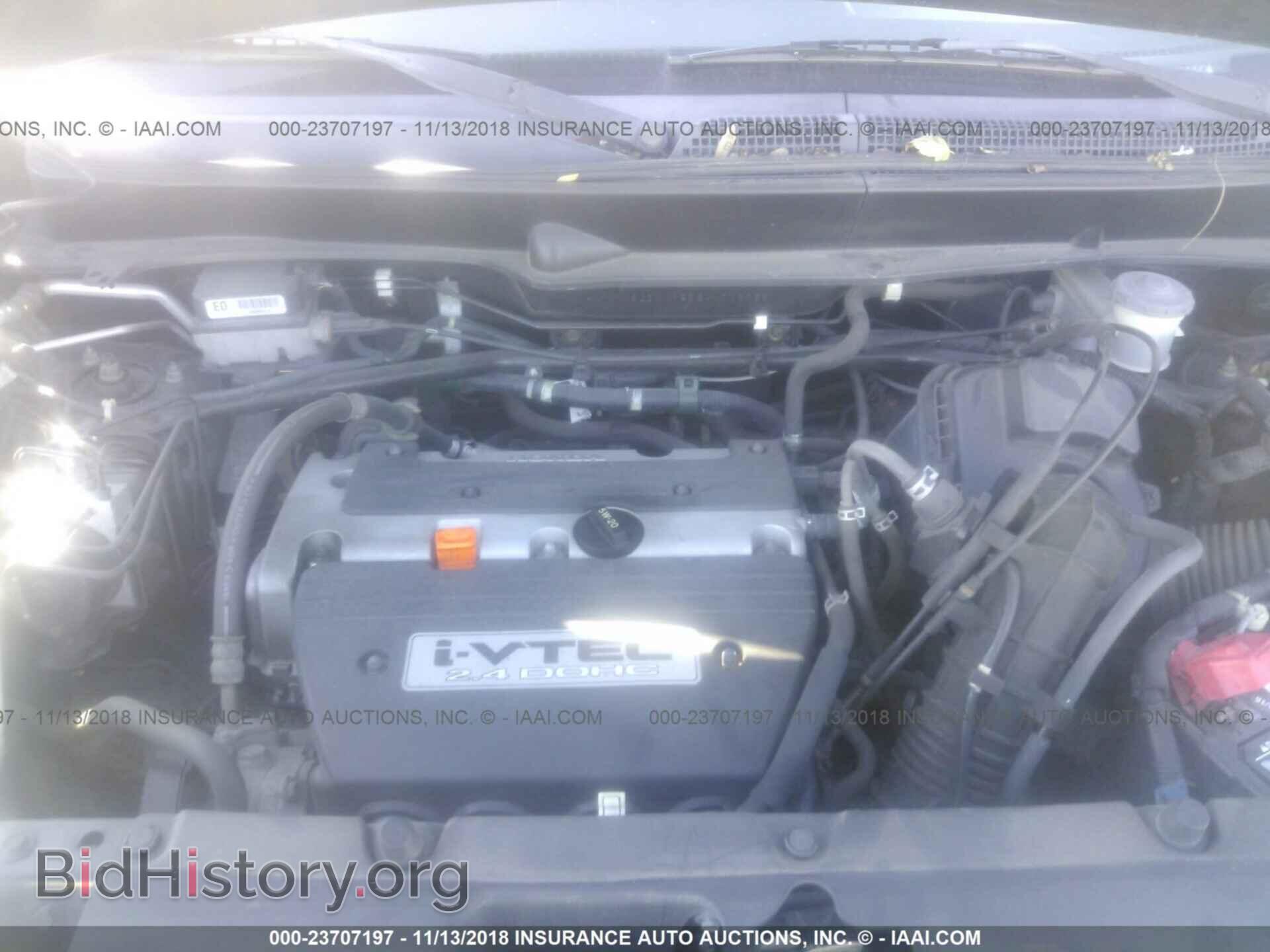 2004 HONDA ELEMENT - VIN: 5J6YH18534L002065 - Фото 10