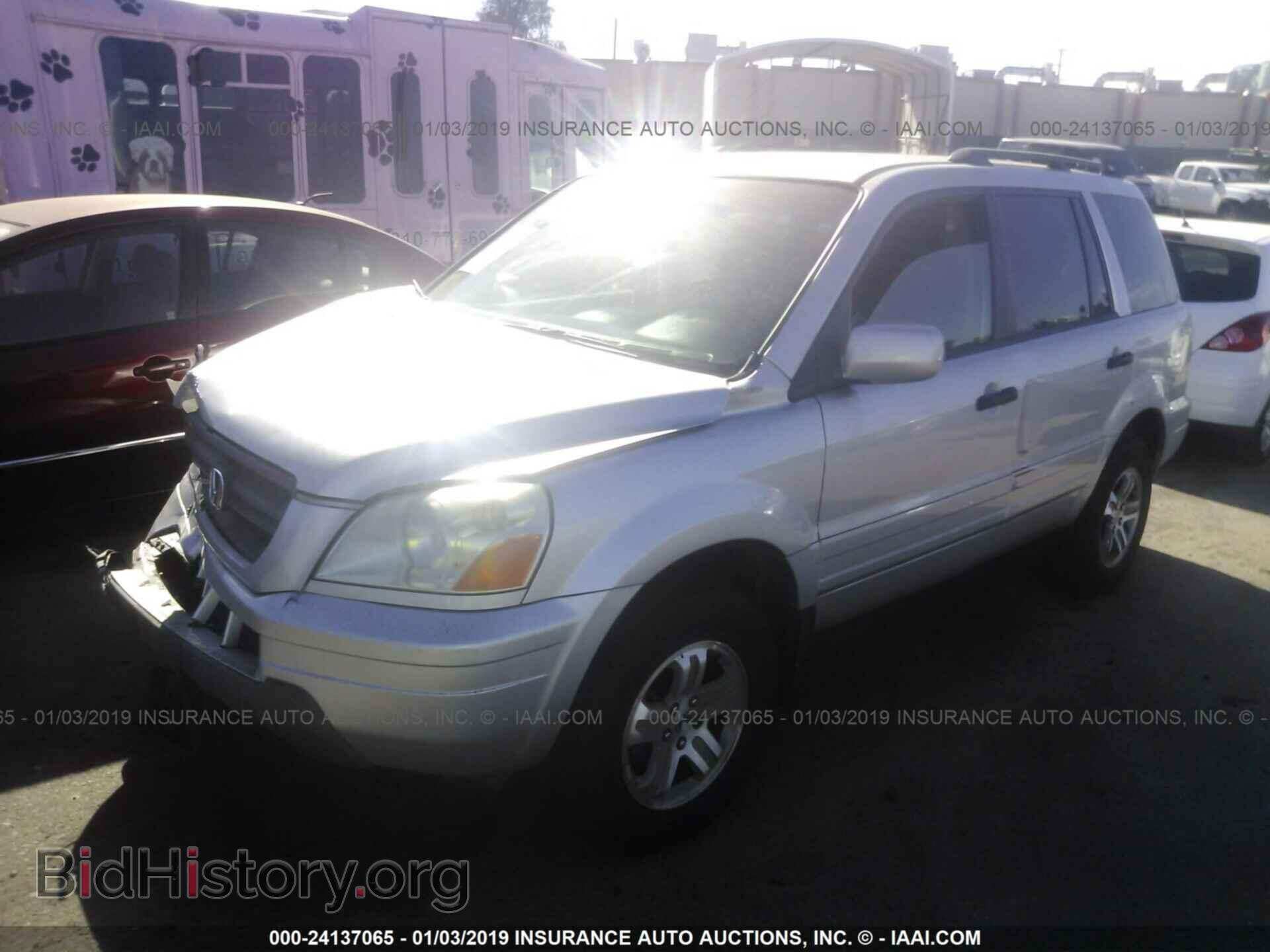 2005 HONDA PILOT - VIN: 2HKYF18445H503264 - Фото 2