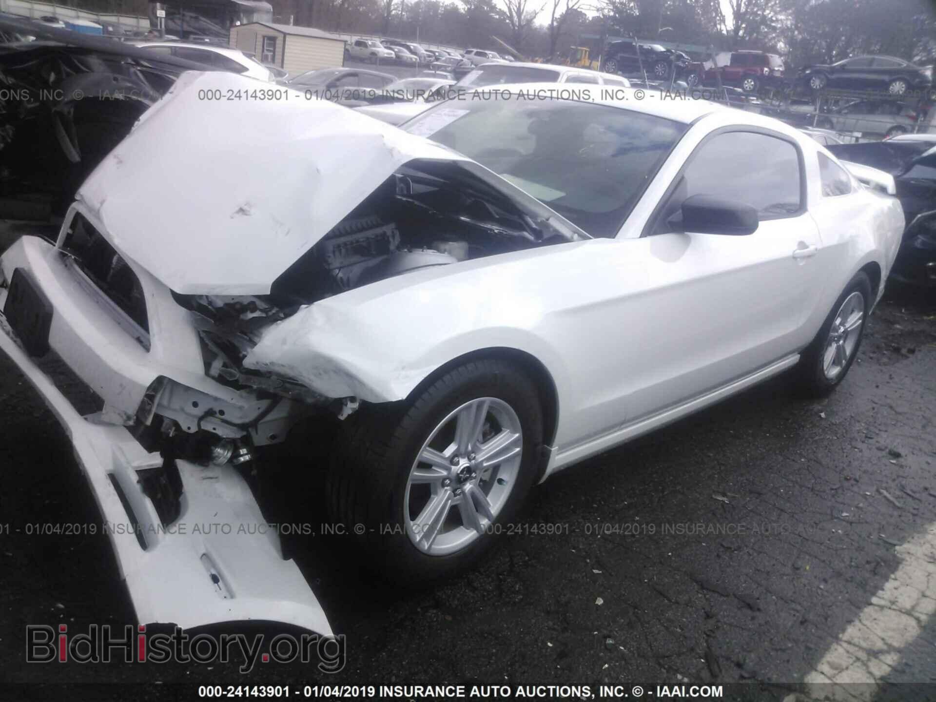 2014 FORD MUSTANG - VIN: 1ZVBP8AMXE5259025 - Фото 2