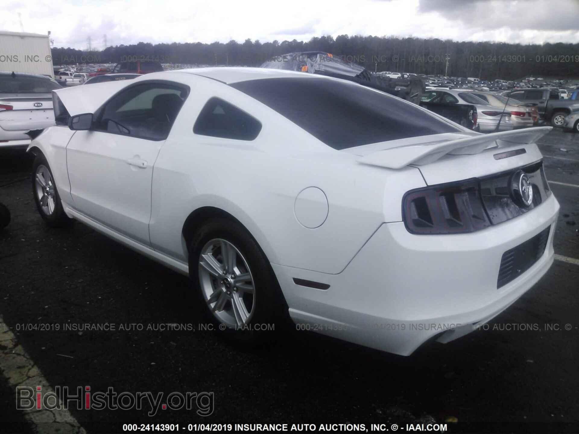 2014 FORD MUSTANG - VIN: 1ZVBP8AMXE5259025 - Фото 3