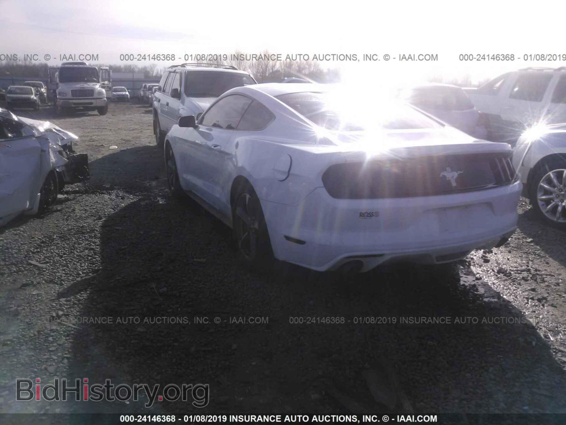 2016 FORD MUSTANG - VIN: 1FA6P8AM0G5255479 - Фото 3