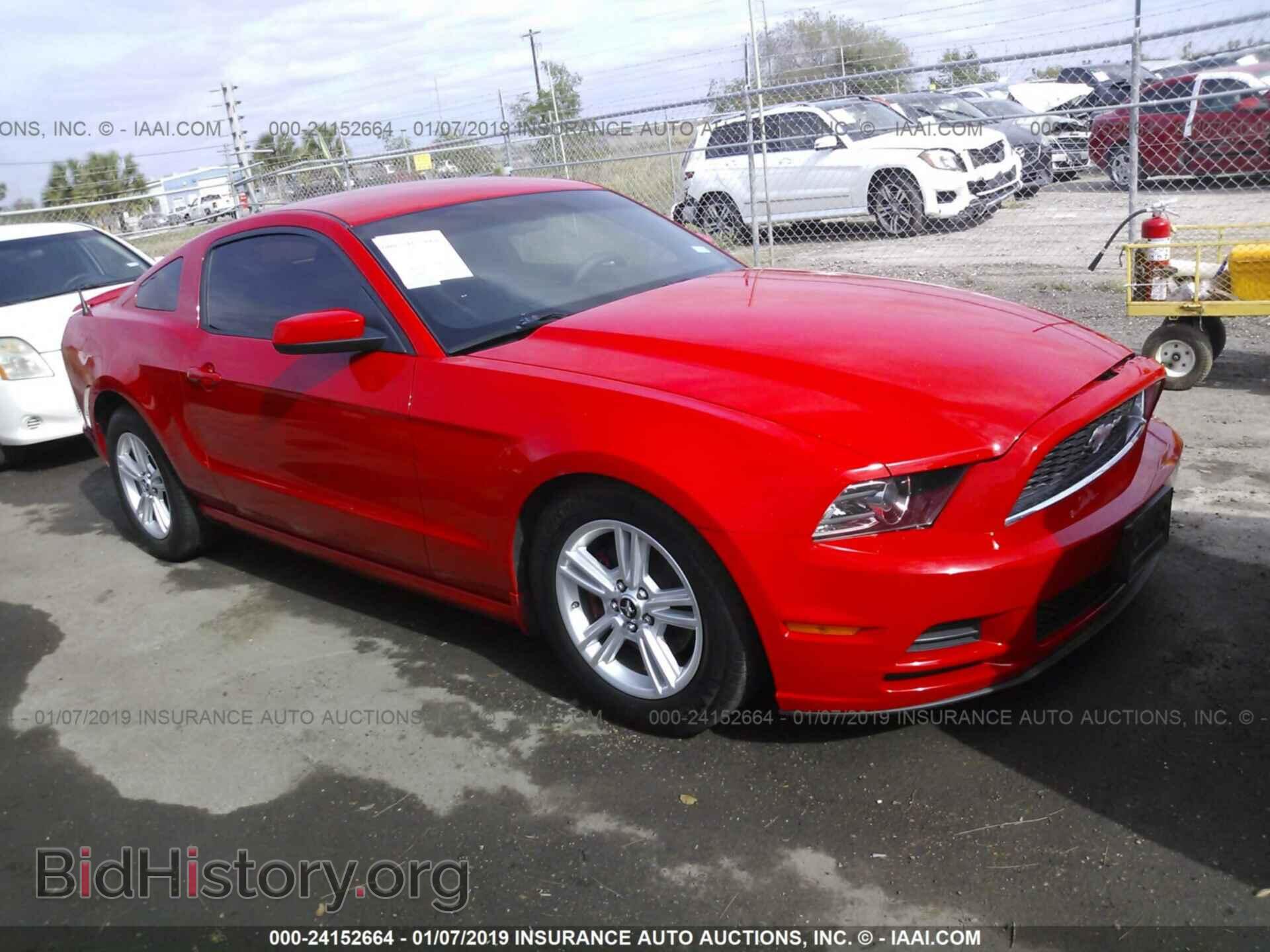 Photo 1ZVBP8AM2E5250111 - FORD MUSTANG 2014