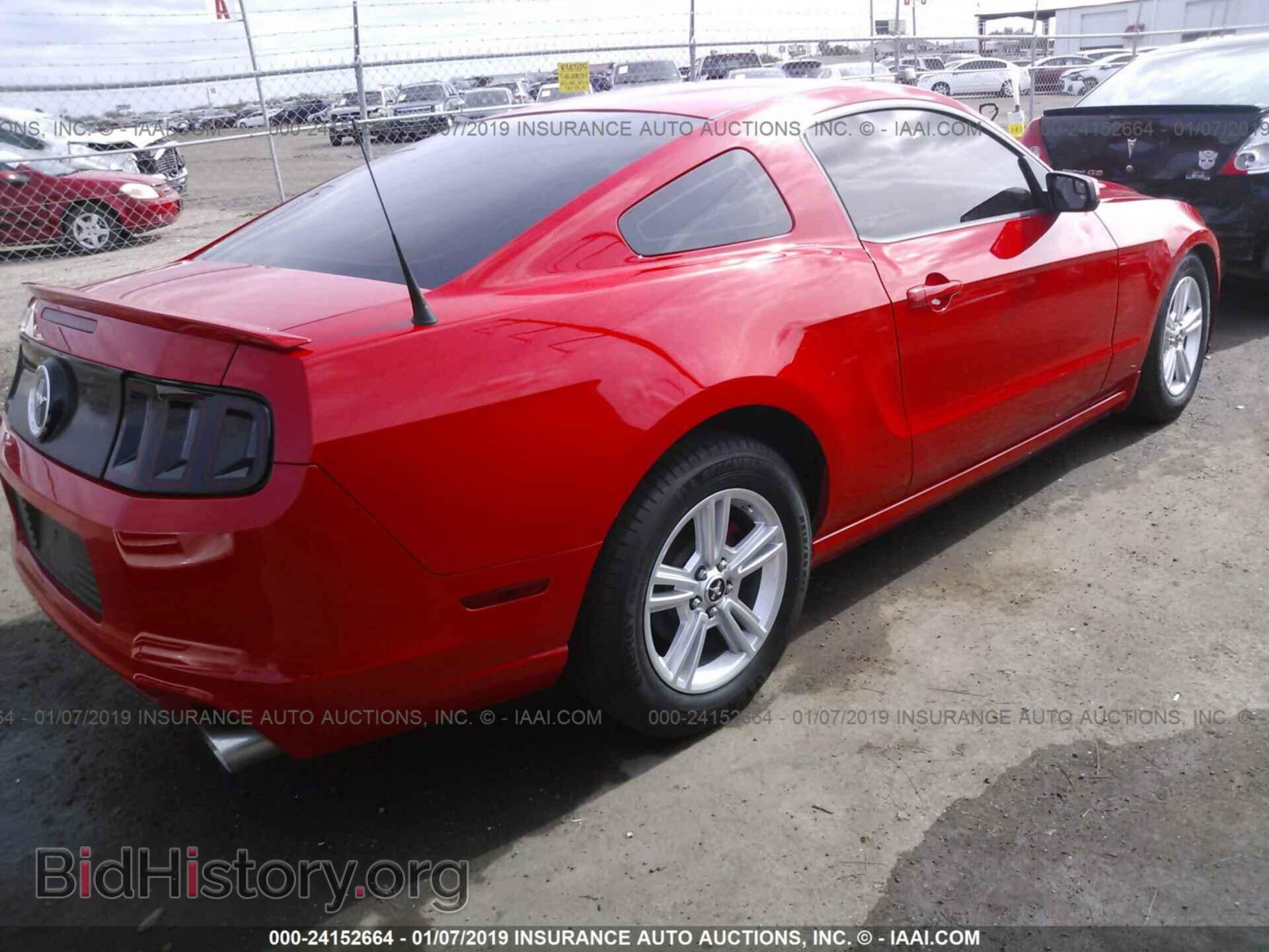 2014 FORD MUSTANG - VIN: 1ZVBP8AM2E5250111 - Фото 4