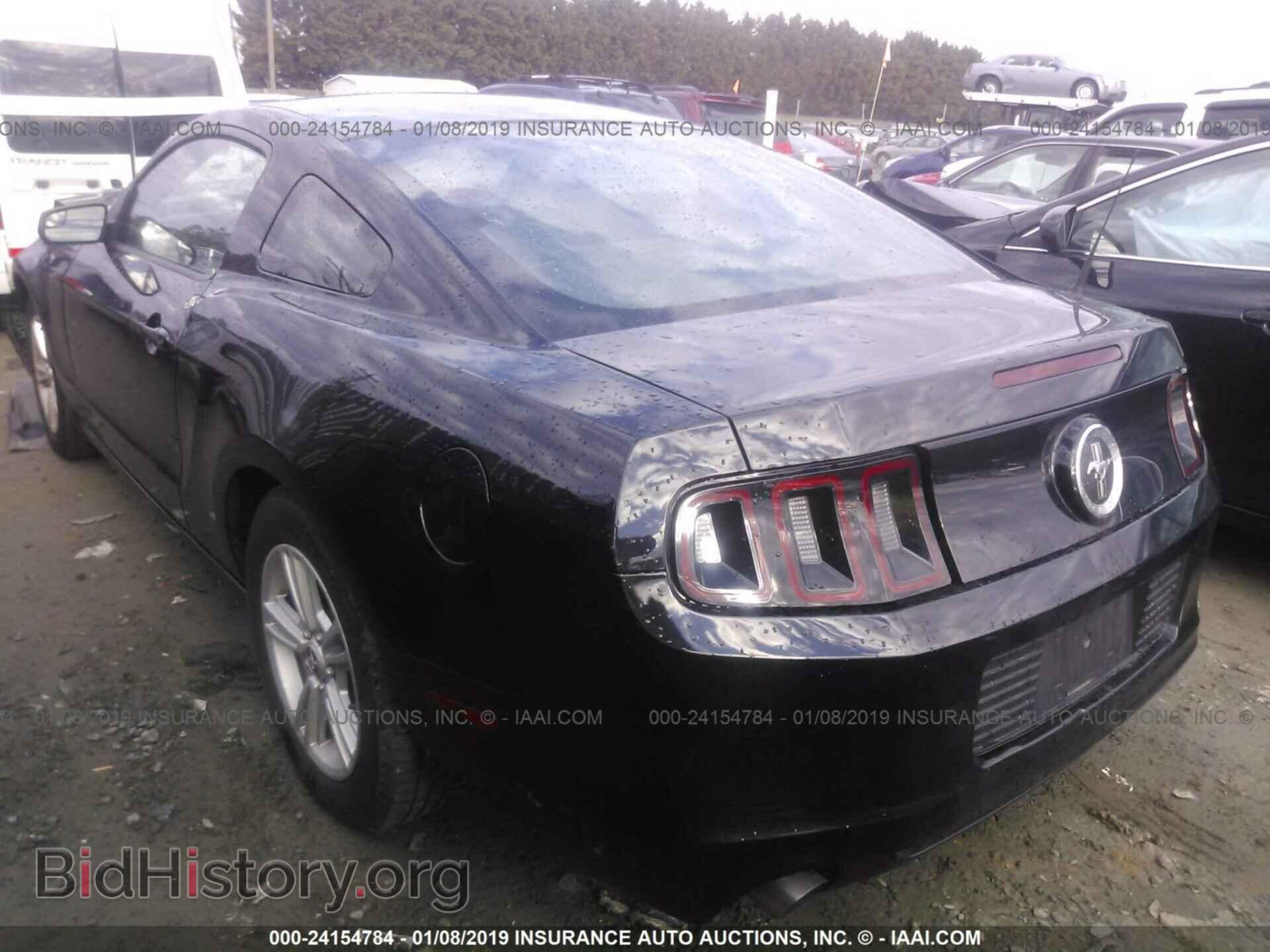 2014 FORD MUSTANG - VIN: 1ZVBP8AM4E5259375 - Фото 3