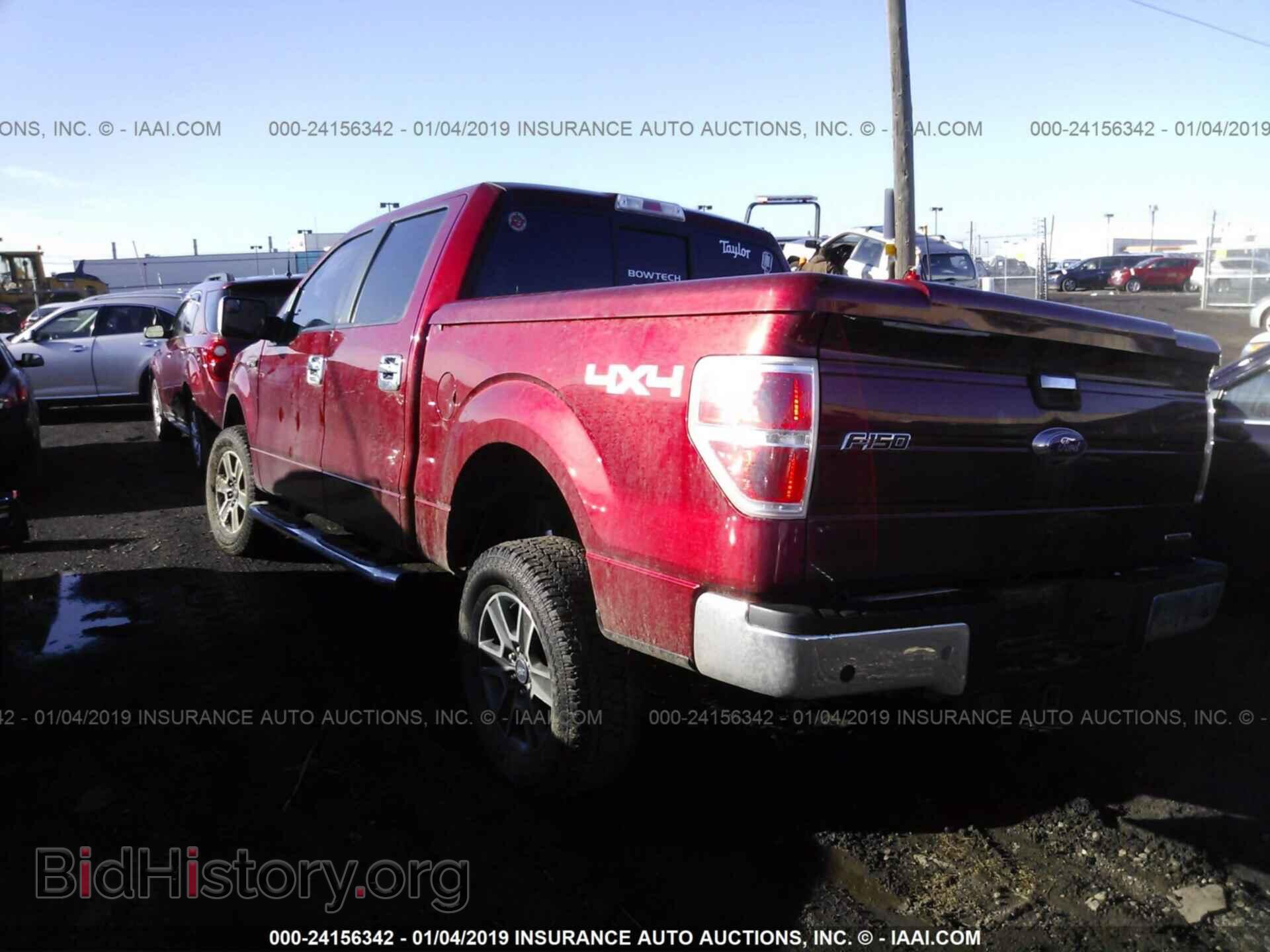 2013 FORD F150 - VIN: 1FTFW1EF8DKF85254 - Фото 3