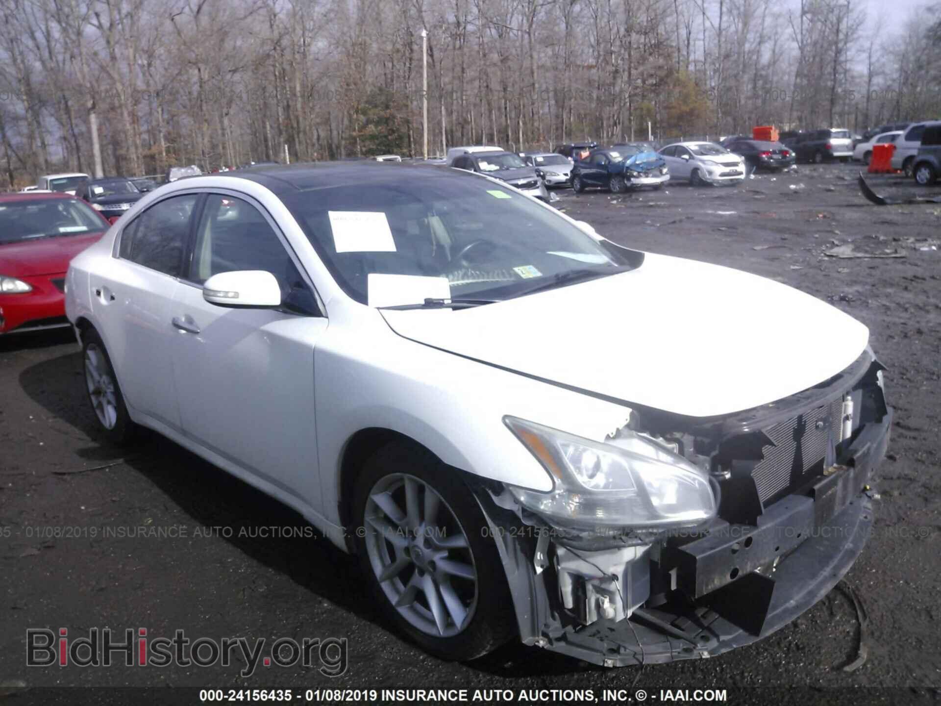 Photo 1N4AA5AP2BC839472 - NISSAN MAXIMA 2011