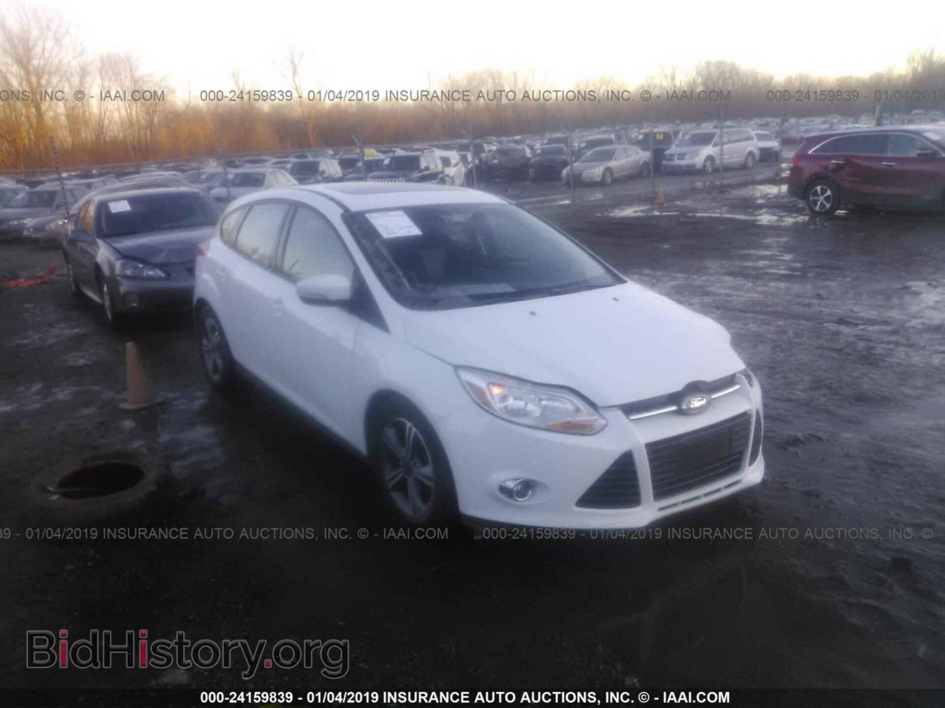 Photo 1FADP3K21EL320484 - FORD FOCUS 2014