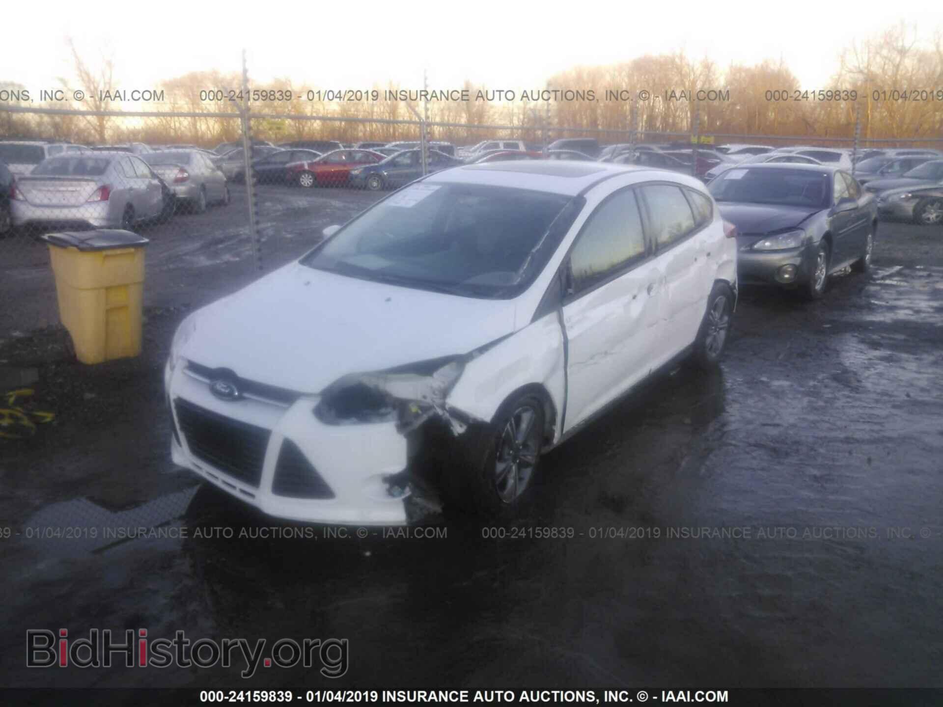 2014 FORD FOCUS - VIN: 1FADP3K21EL320484 - Фото 2