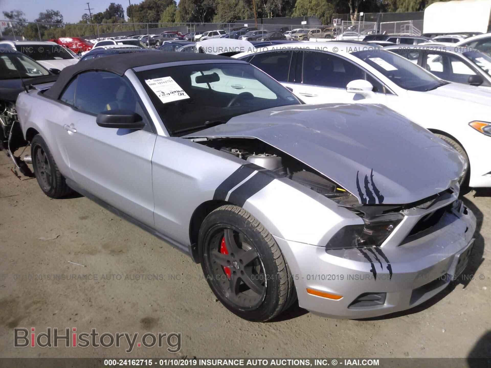Photo 1ZVBP8EM4B5138240 - FORD MUSTANG 2011
