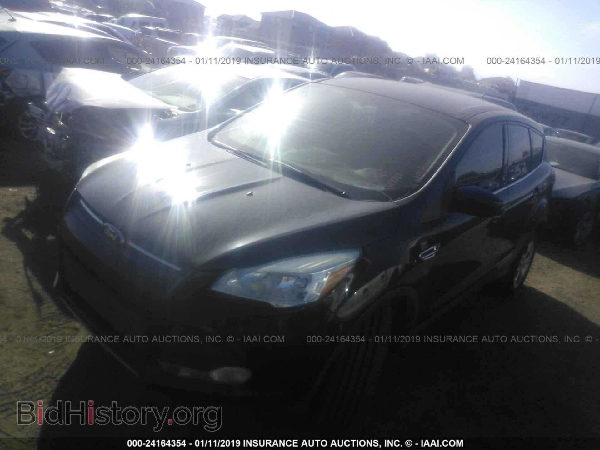 2013 FORD ESCAPE - VIN: 1FMCU0G91DUC46409 - Photo 2