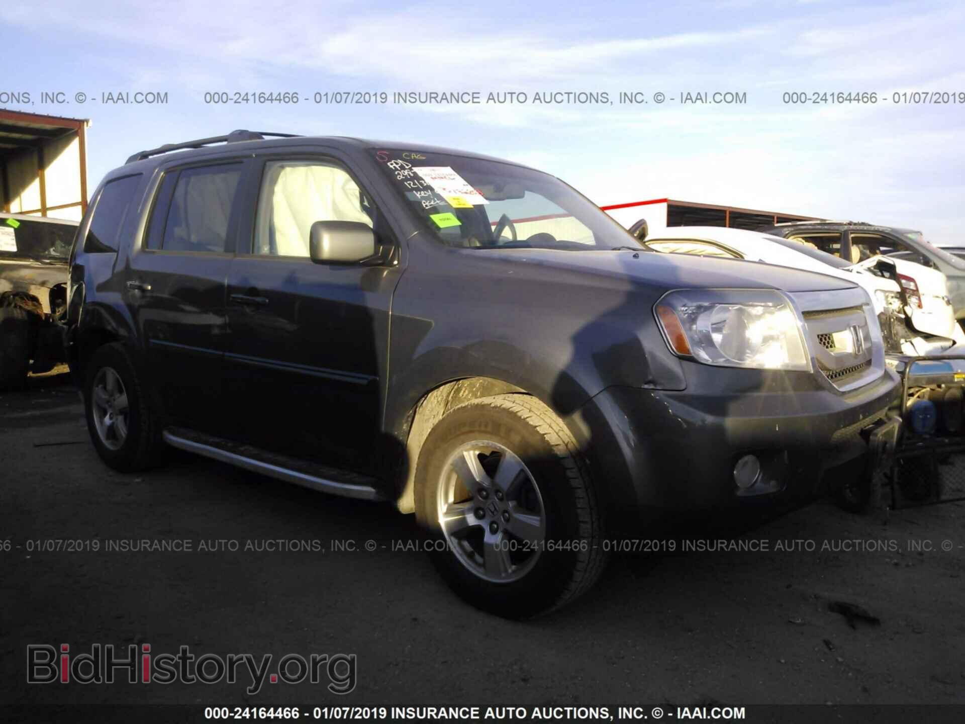 Фотография 5FNYF48569B002181 - HONDA PILOT 2009