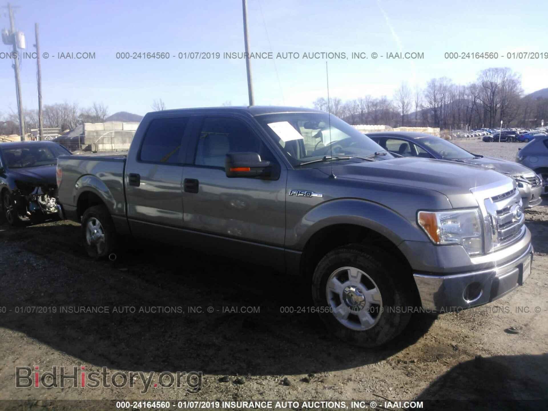 Фотография 1FTEW1C86AFD77376 - FORD F150 2010