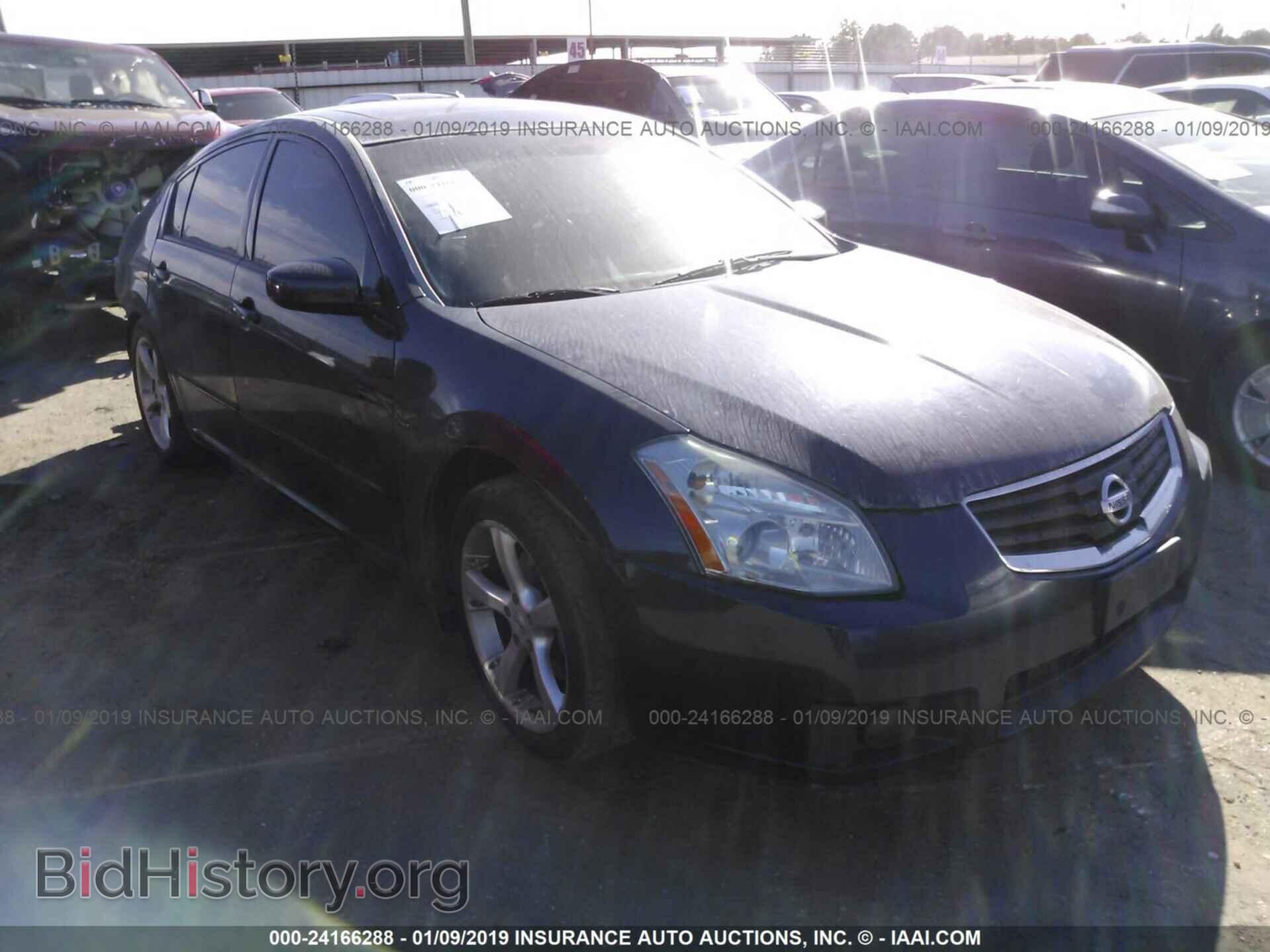 Photo 1N4BA41E68C813804 - NISSAN MAXIMA 2008