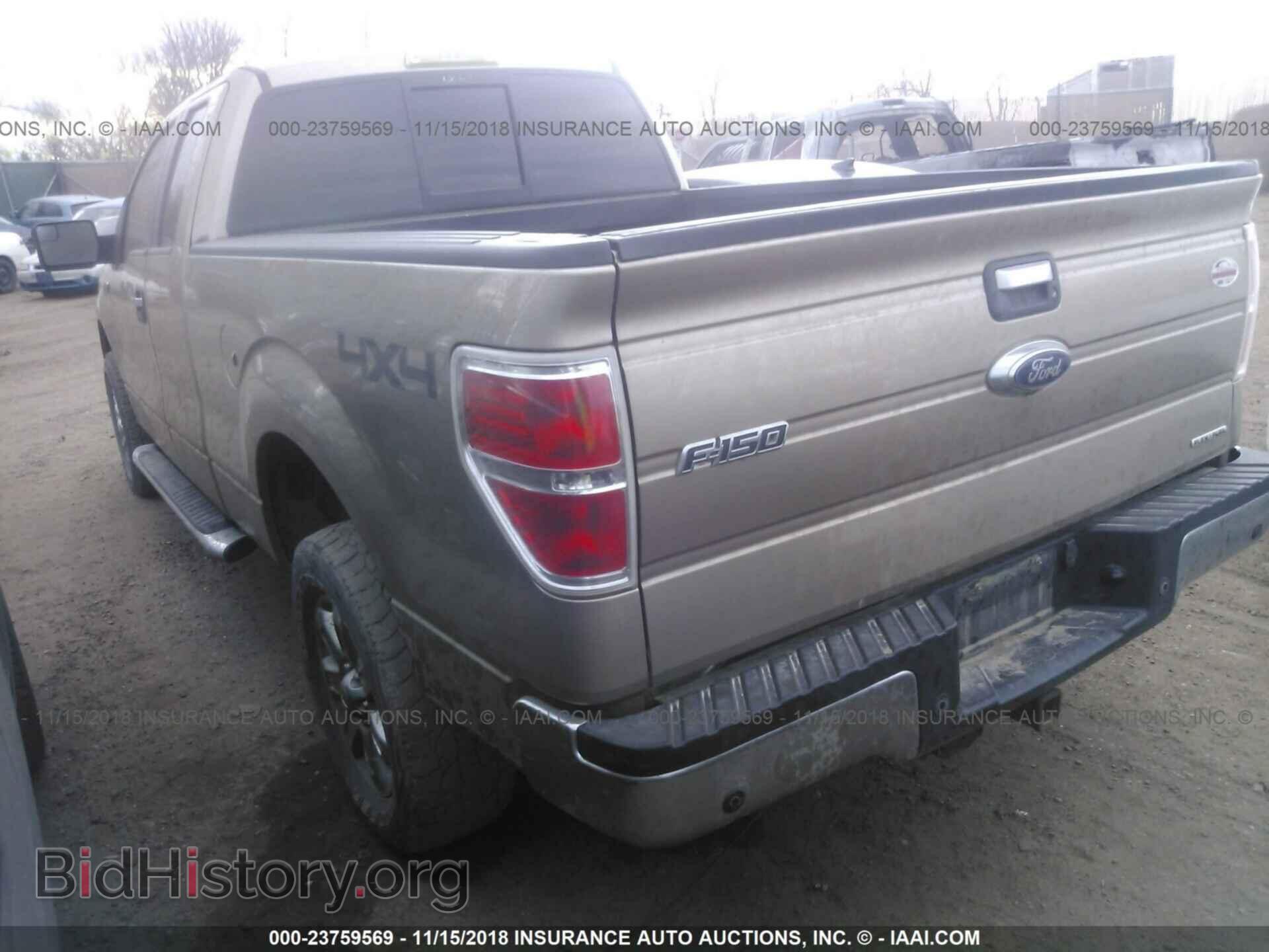 2013 FORD F150 - VIN: 1FTFX1EFXDFC72003 - Фото 3