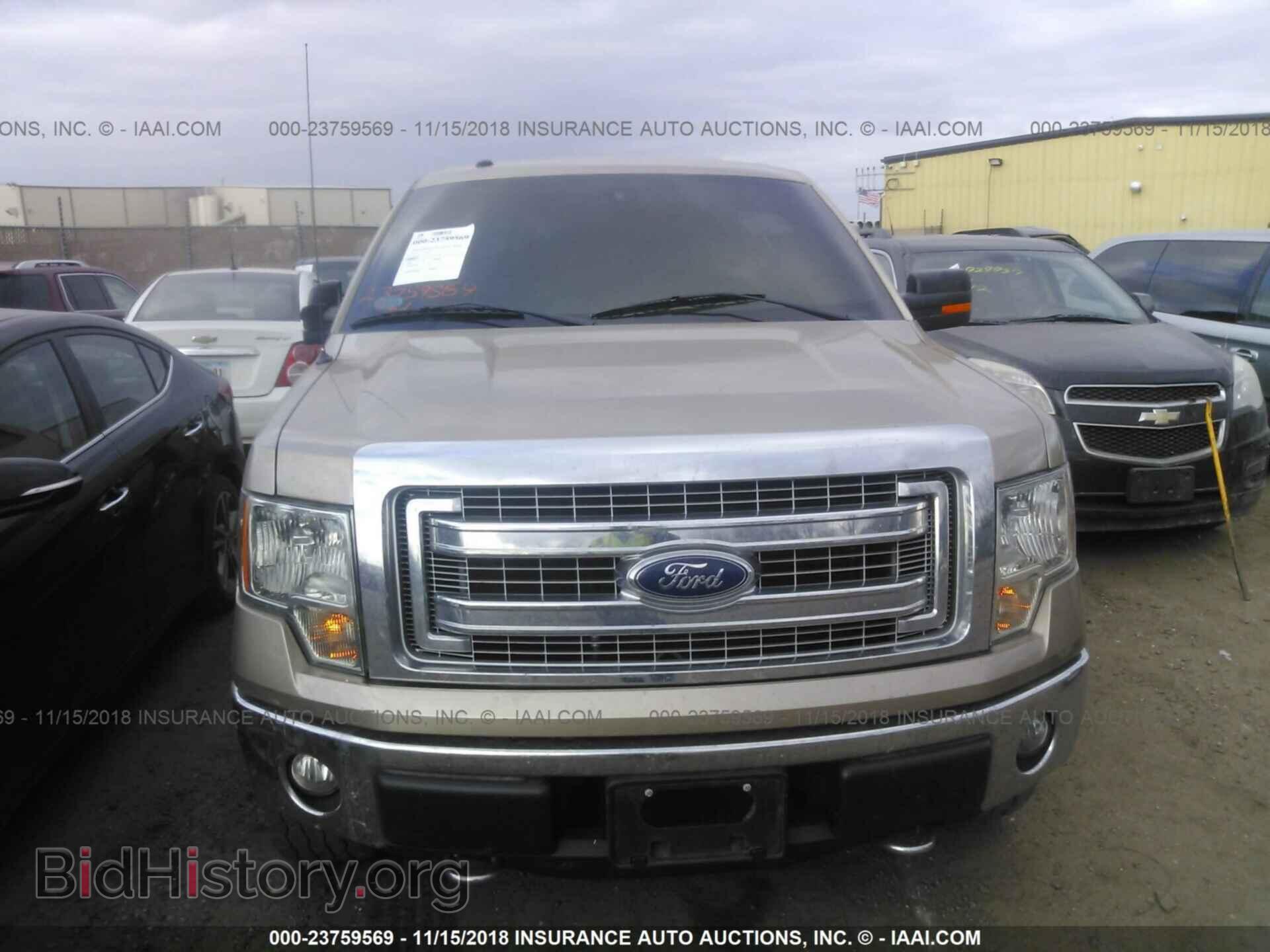 2013 FORD F150 - VIN: 1FTFX1EFXDFC72003 - Фото 6