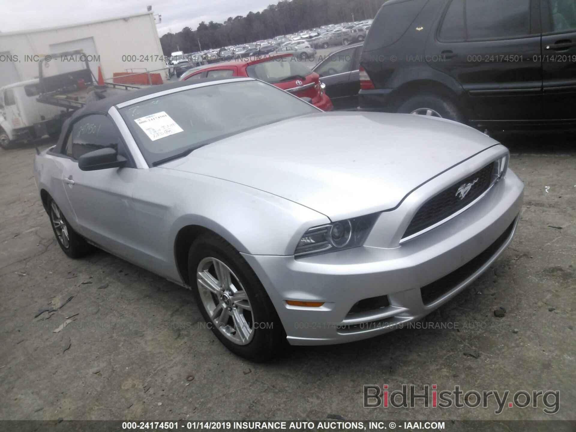 Photo 1ZVBP8EM1D5234085 - FORD MUSTANG 2013